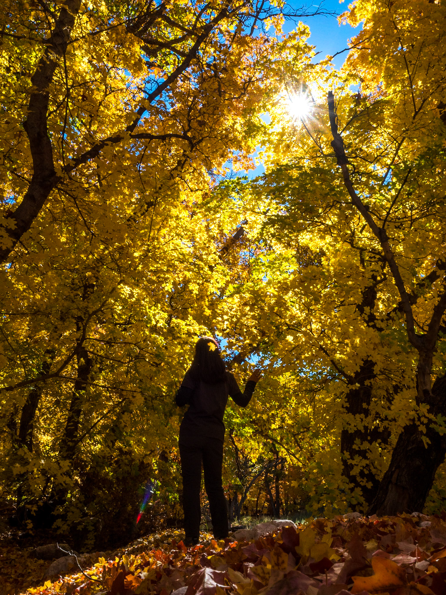 Guadalupe Mountains National Park
