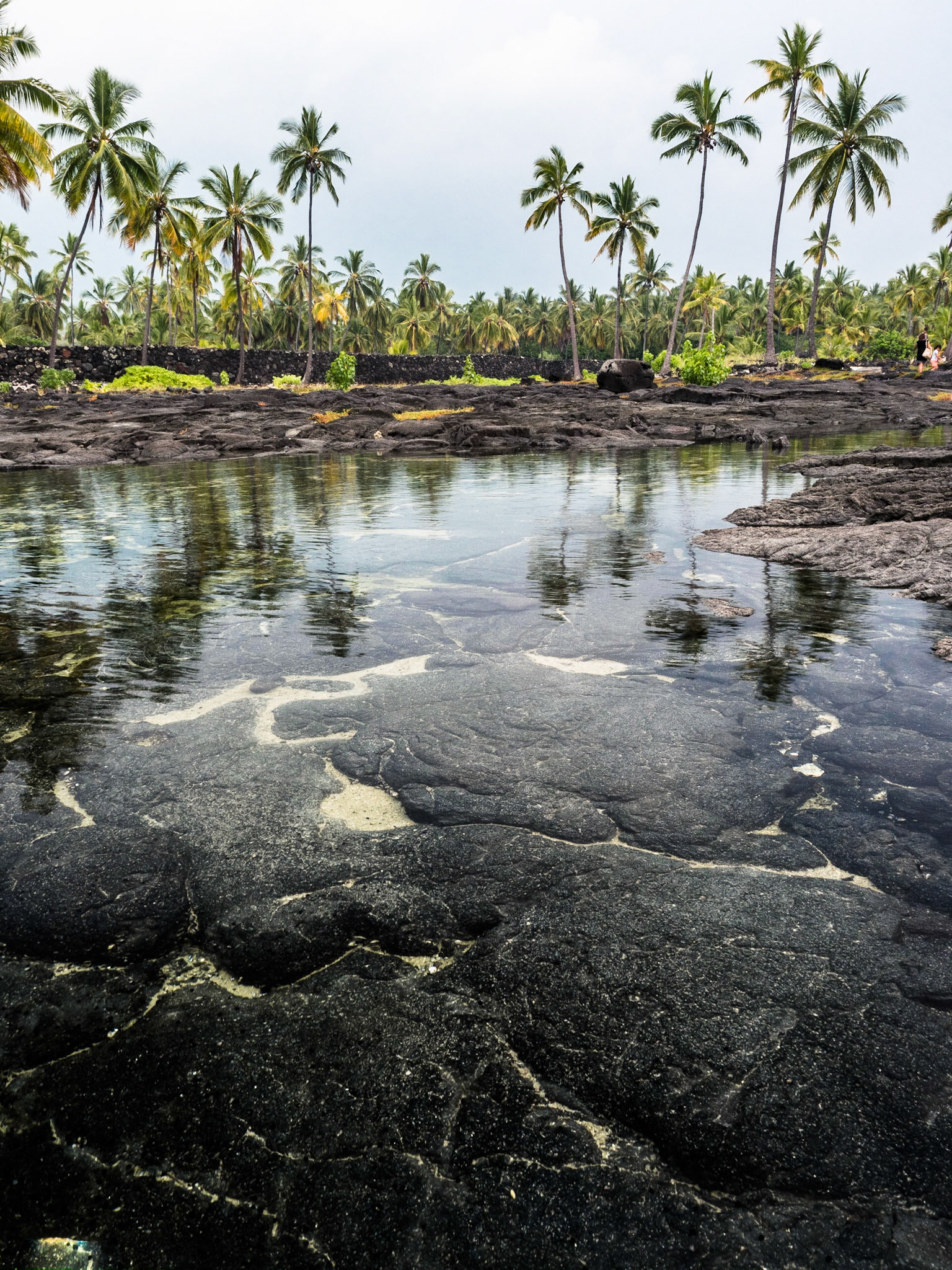 Kaloko-Honokohau National Historical Park