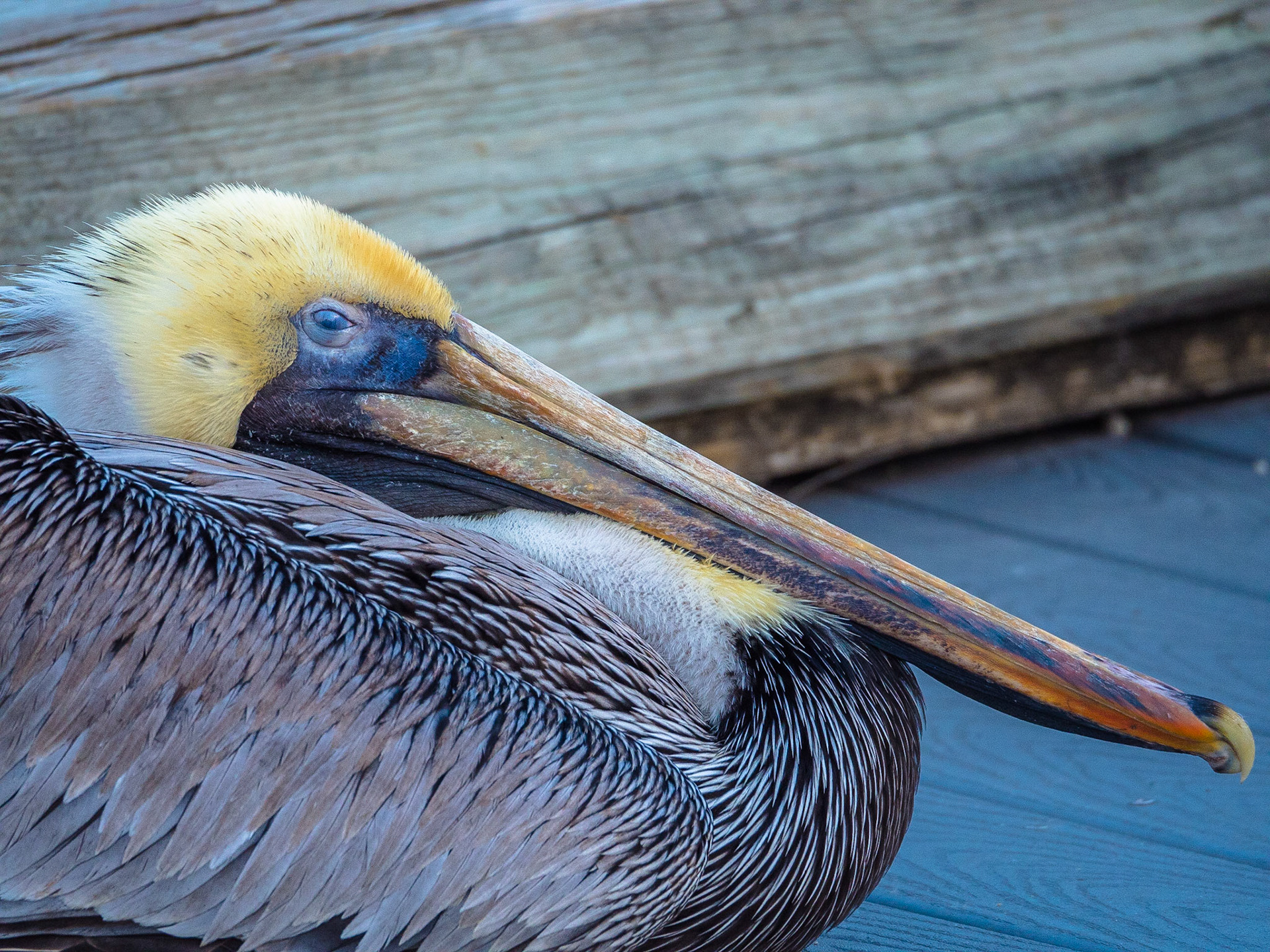 Biscayne National Park