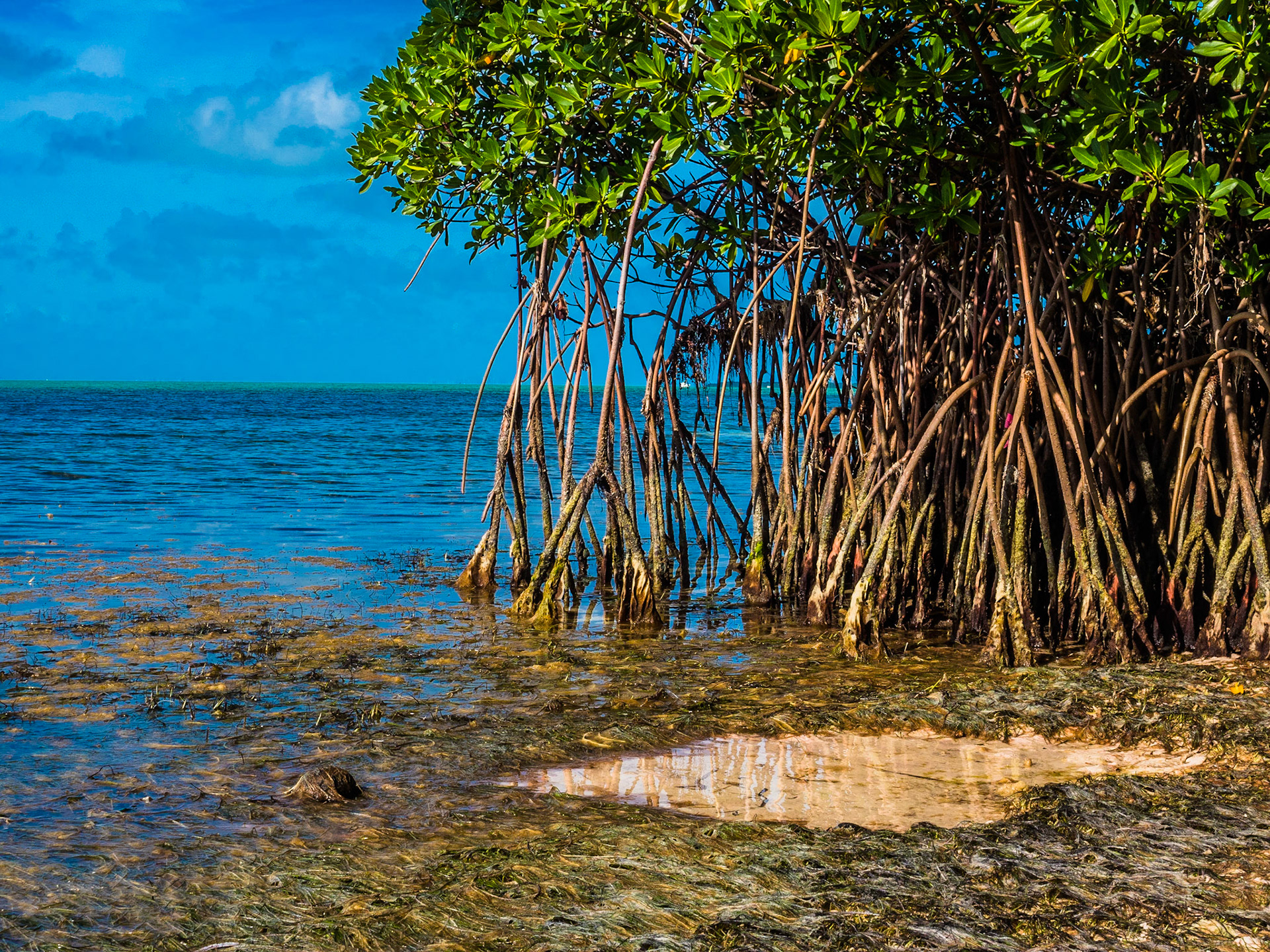 Biscayne National Park