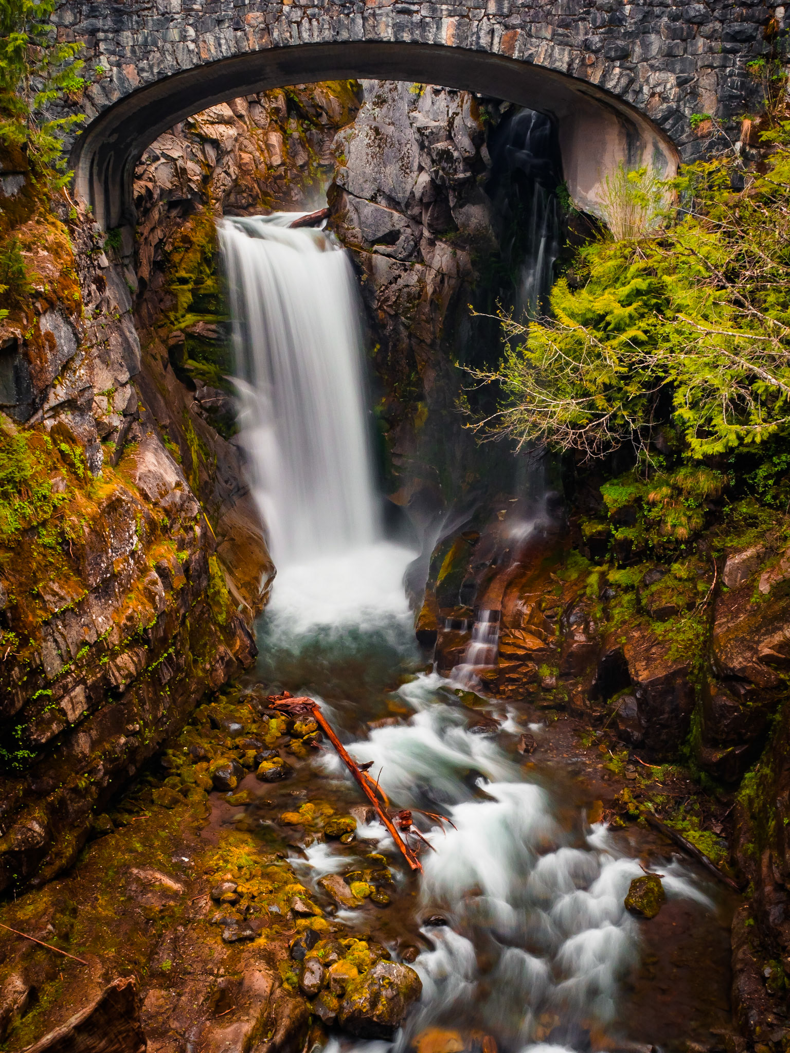 Mt Rainier National Park