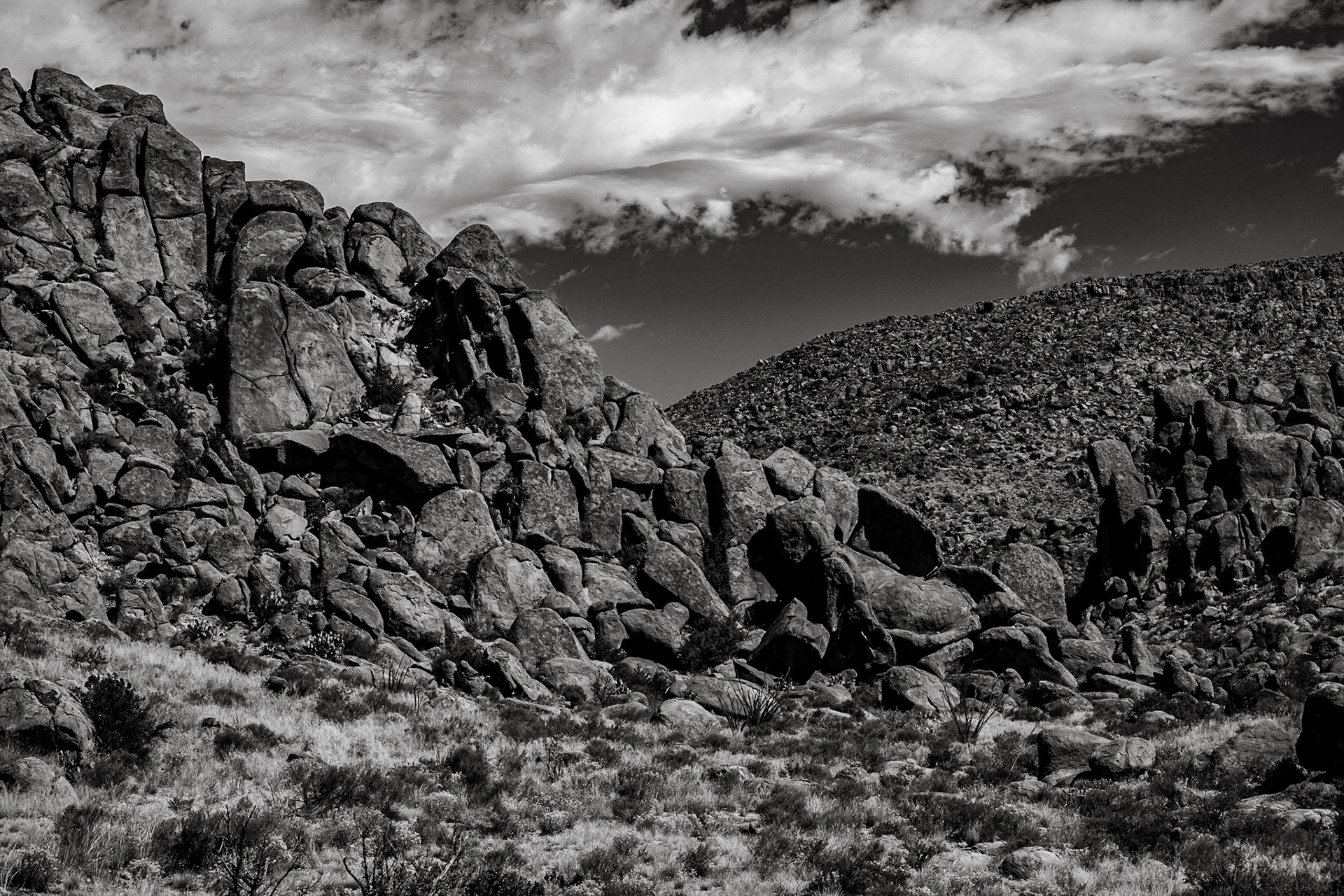 Big Bend National Park