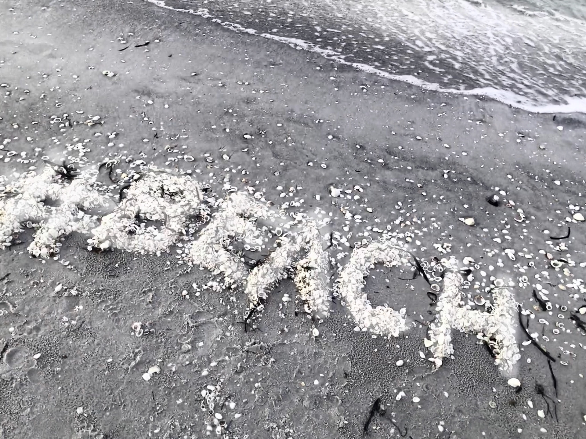 {"total_effects_actions":0,"total_draw_time":0,"layers_used":0,"effects_tried":0,"total_draw_actions":0,"total_editor_actions":{"border":0,"frame":0,"mask":0,"lensflare":0,"clipart":0,"text":0,"square_fit":0,"shape_mask":0,"callout":0},"effects_applied":0,"uid":"BCA6FB29-DB50-4111-B8F7-4DF13050D31E_1530709028930","entry_point":"create_flow_fte","photos_added":0,"total_effects_time":0,"tools_used":{"tilt_shift":0,"resize":0,"adjust":0,"curves":0,"motion":0,"perspective":0,"clone":0,"crop":0,"enhance":0,"selection":0,"free_crop":0,"flip_rotate":0,"shape_crop":0,"stretch":0},"width":3345,"sources":[],"origin":"gallery","height":2506,"subsource":"done_button","total_editor_time":255,"brushes_used":0}