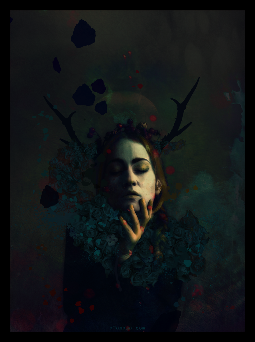 The Dreamer 2018