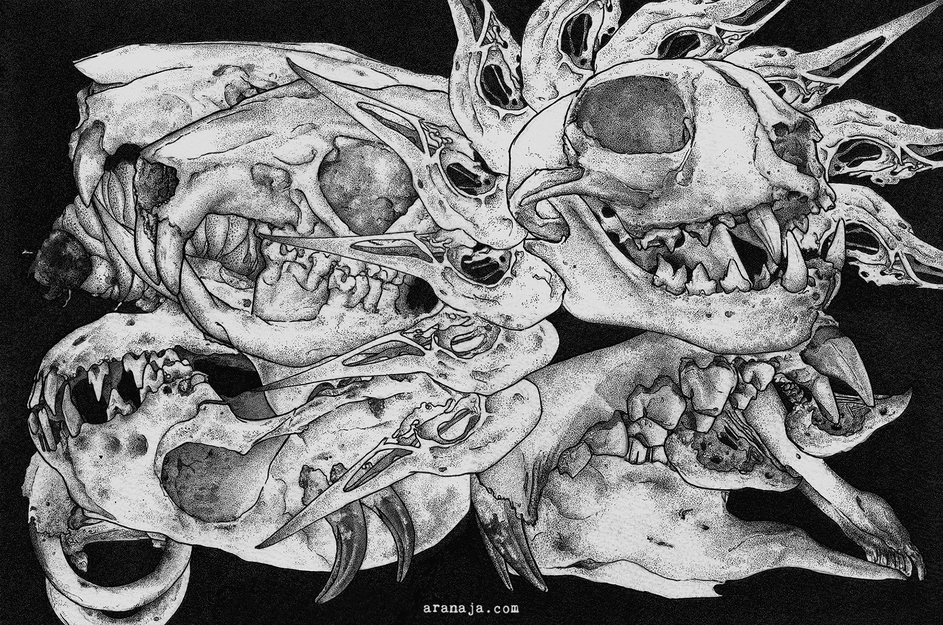 Skull Postcard Collage