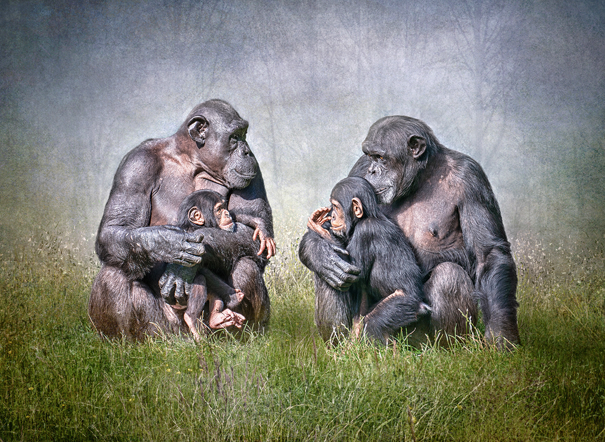 Mother's Meeting