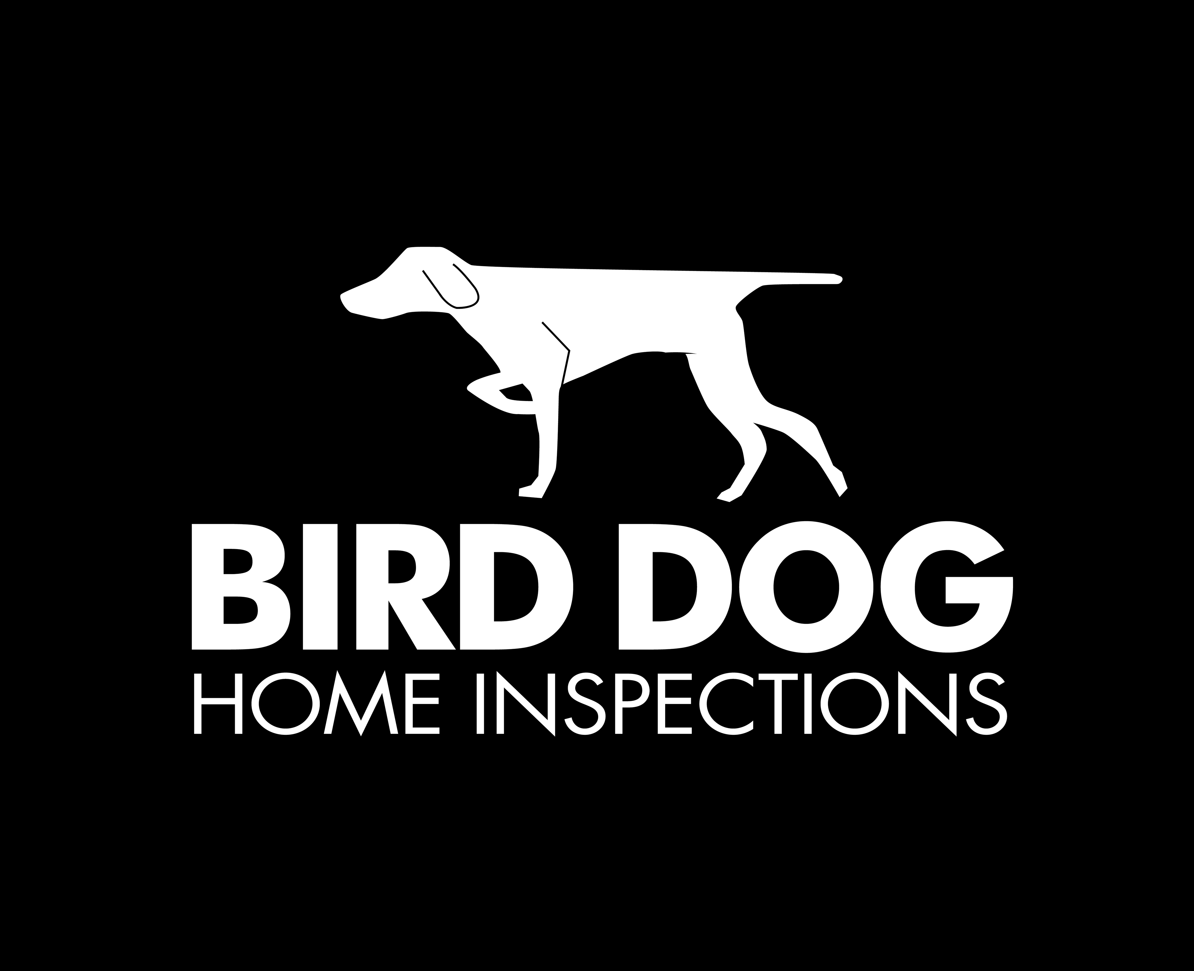 Nathan Lewtschuk Bird Dog Home Inspections Logo