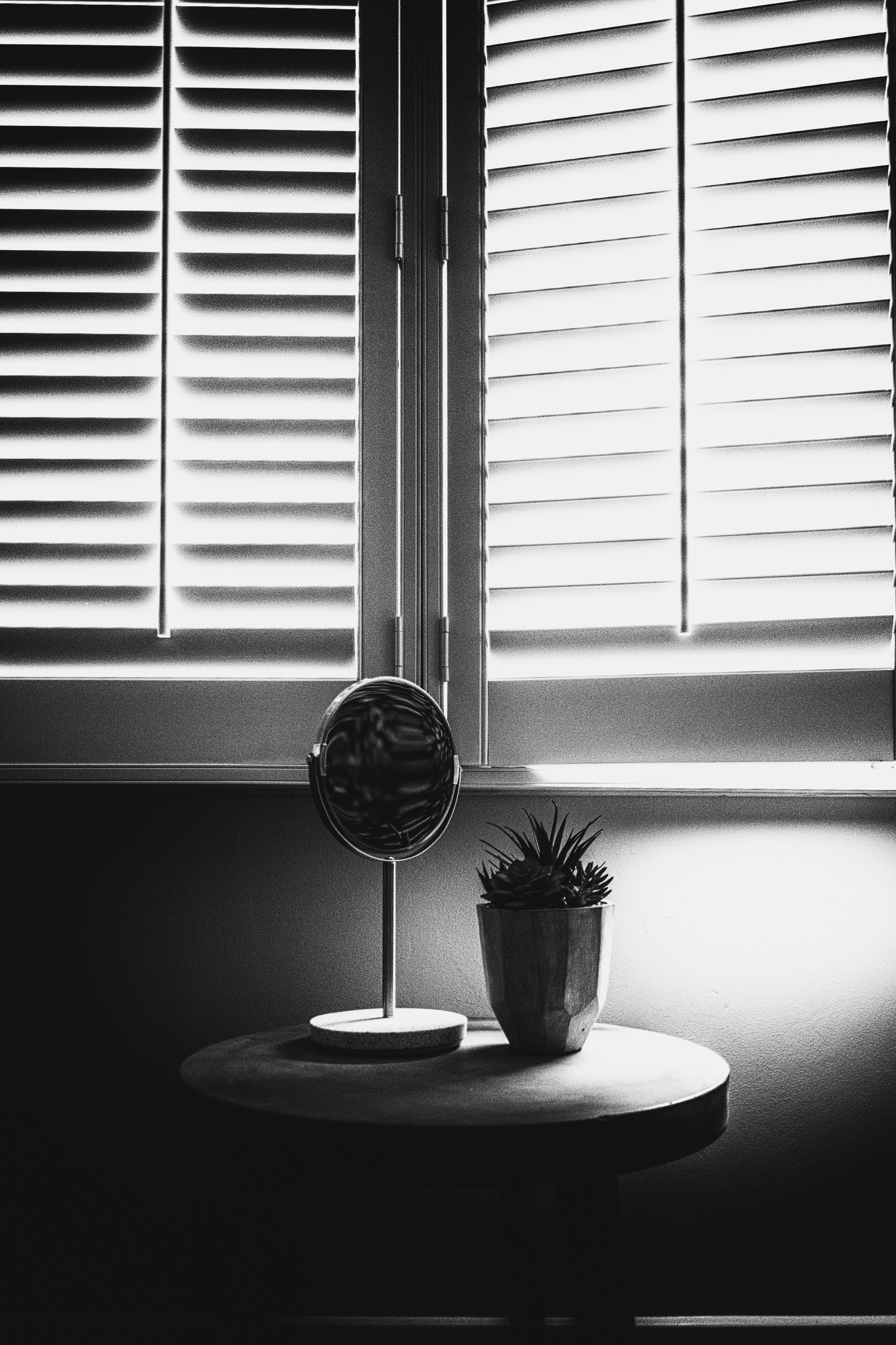 Shutters, plant and mirror