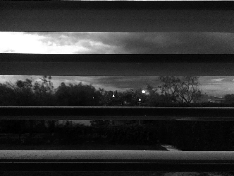 12-1: Julia Mañero. iPhone 6, cámara digital. Y editada posteriormente en Adobe Photoshop CC 2019