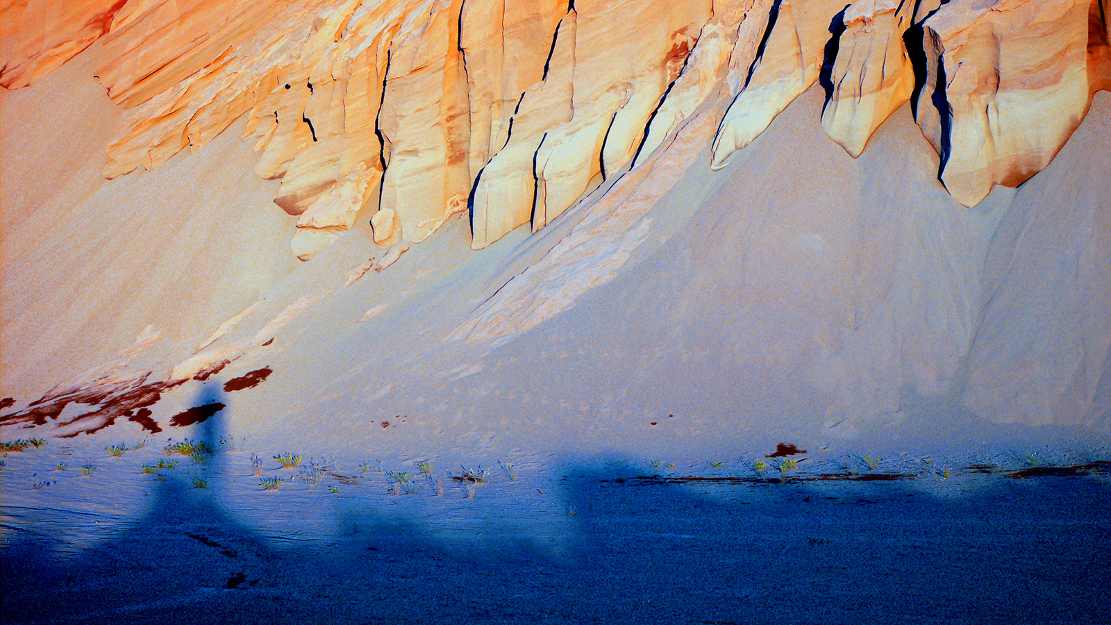 L'ombre du photographe devant son sujet