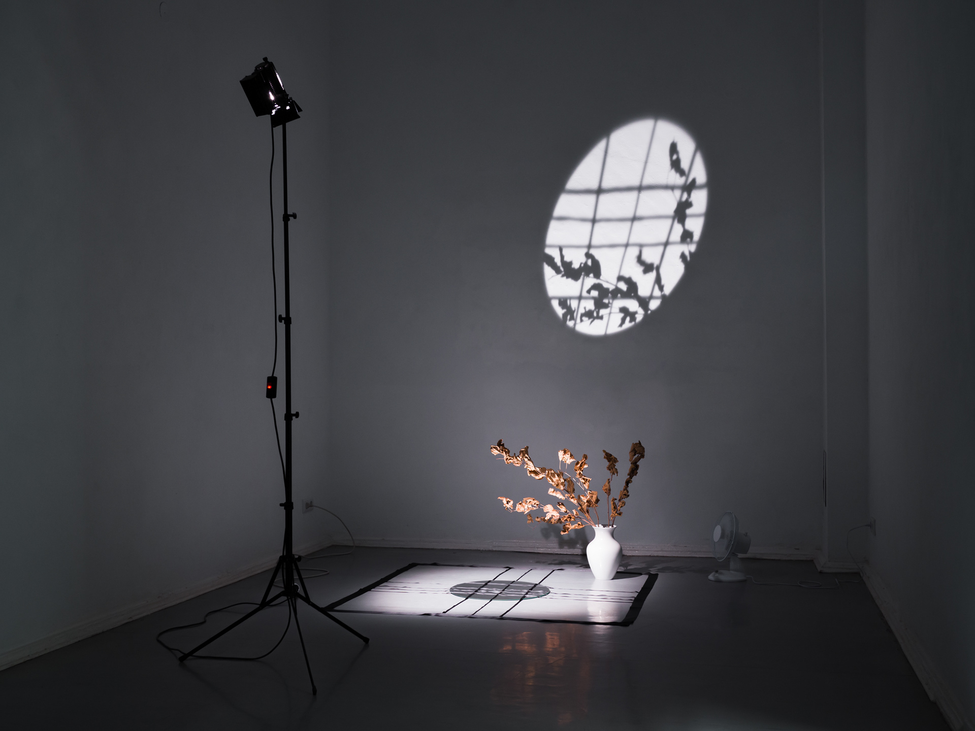 Ulrich Vogl, Fenster Pasolini, 2014