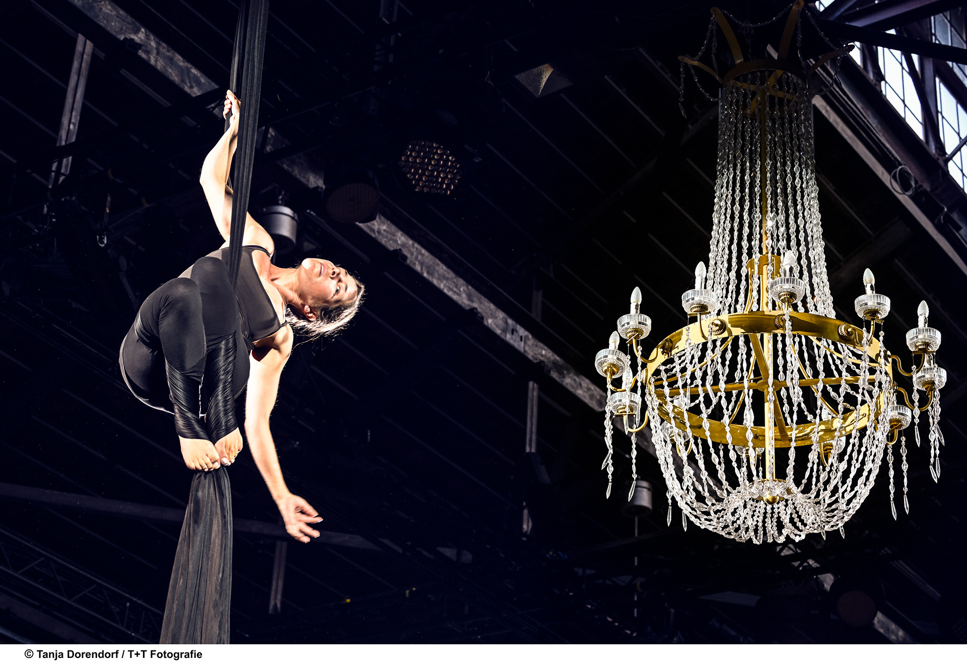 (Image: Tanja Dorendorf / T + T Photography)