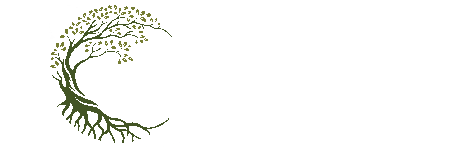 Catherine St-G. Photographe