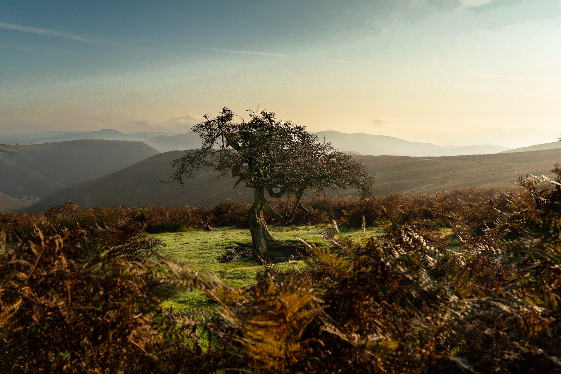 Long Mynd wind sock