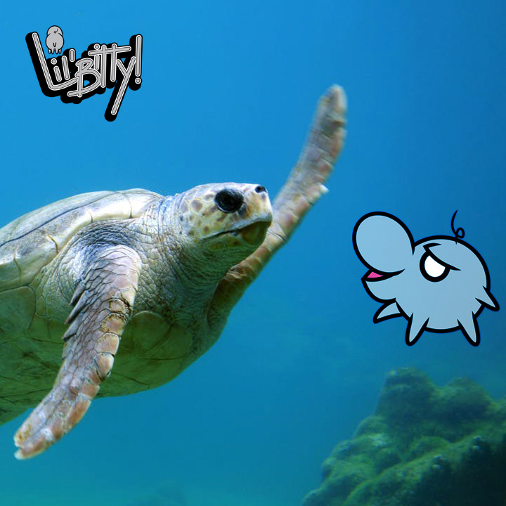 da homie big turt!