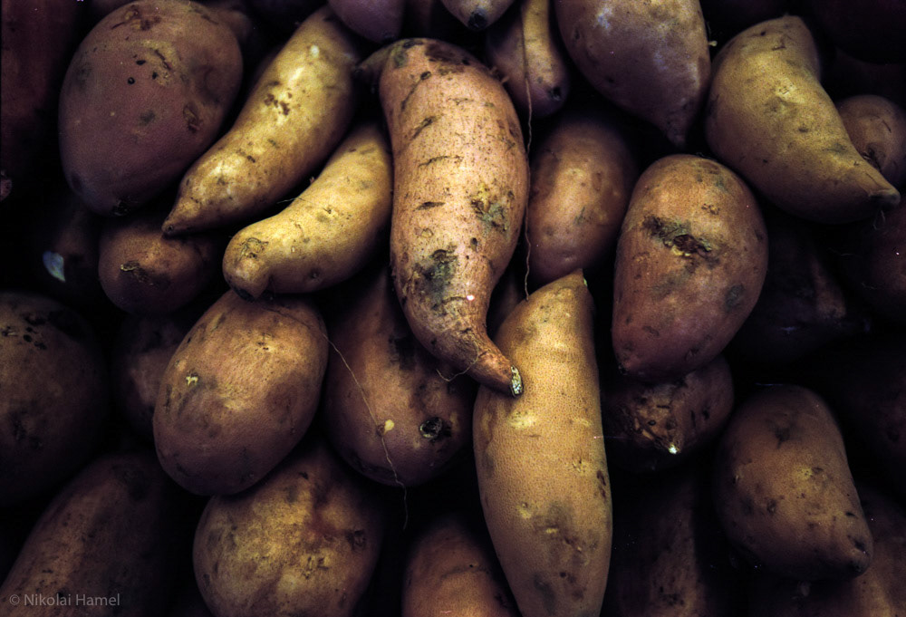 Sweet Potato | Nikon F5, Kodak Portra 160-135, 16-35mm 1.4 G ED
