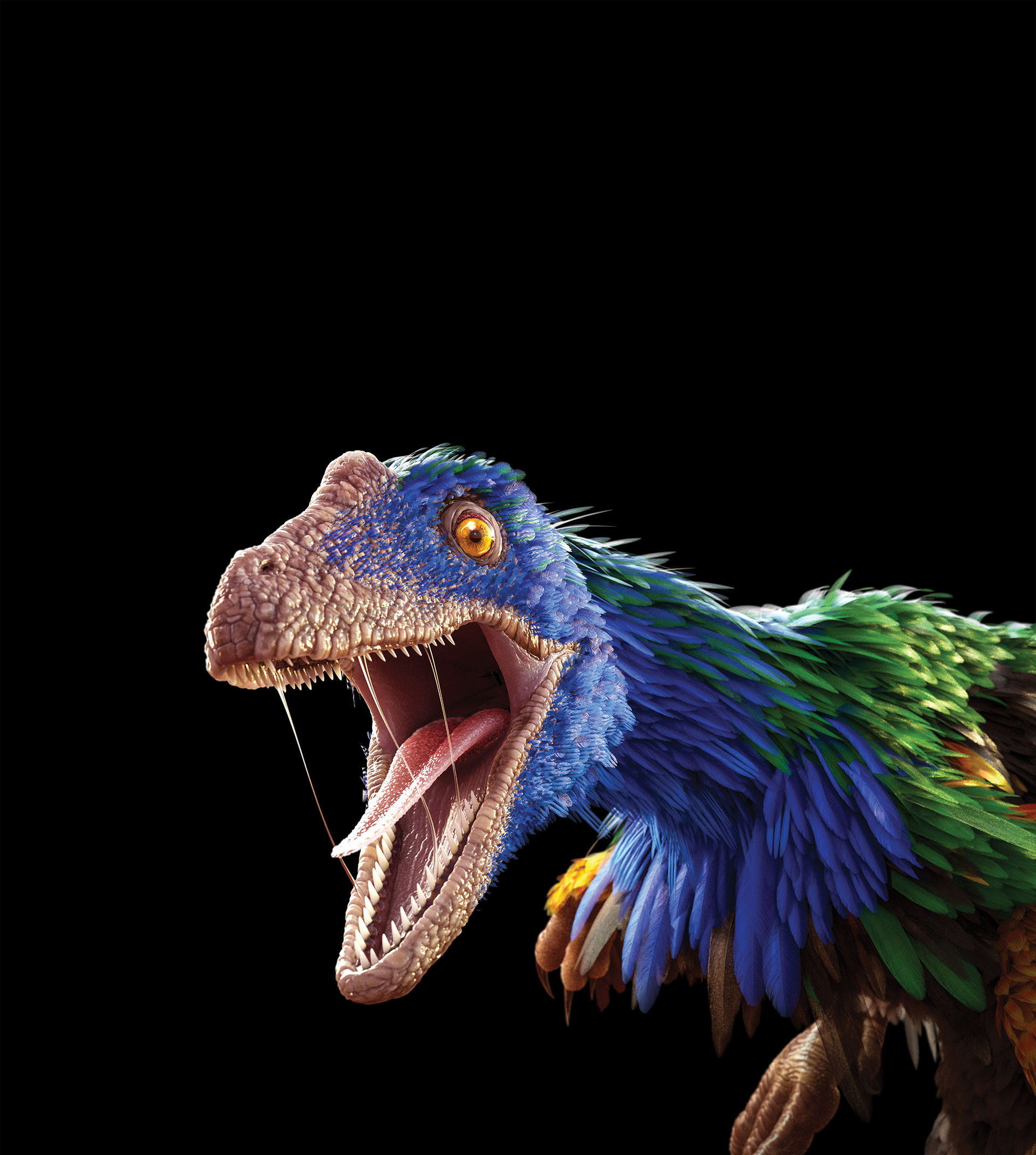 caihong dinosaur