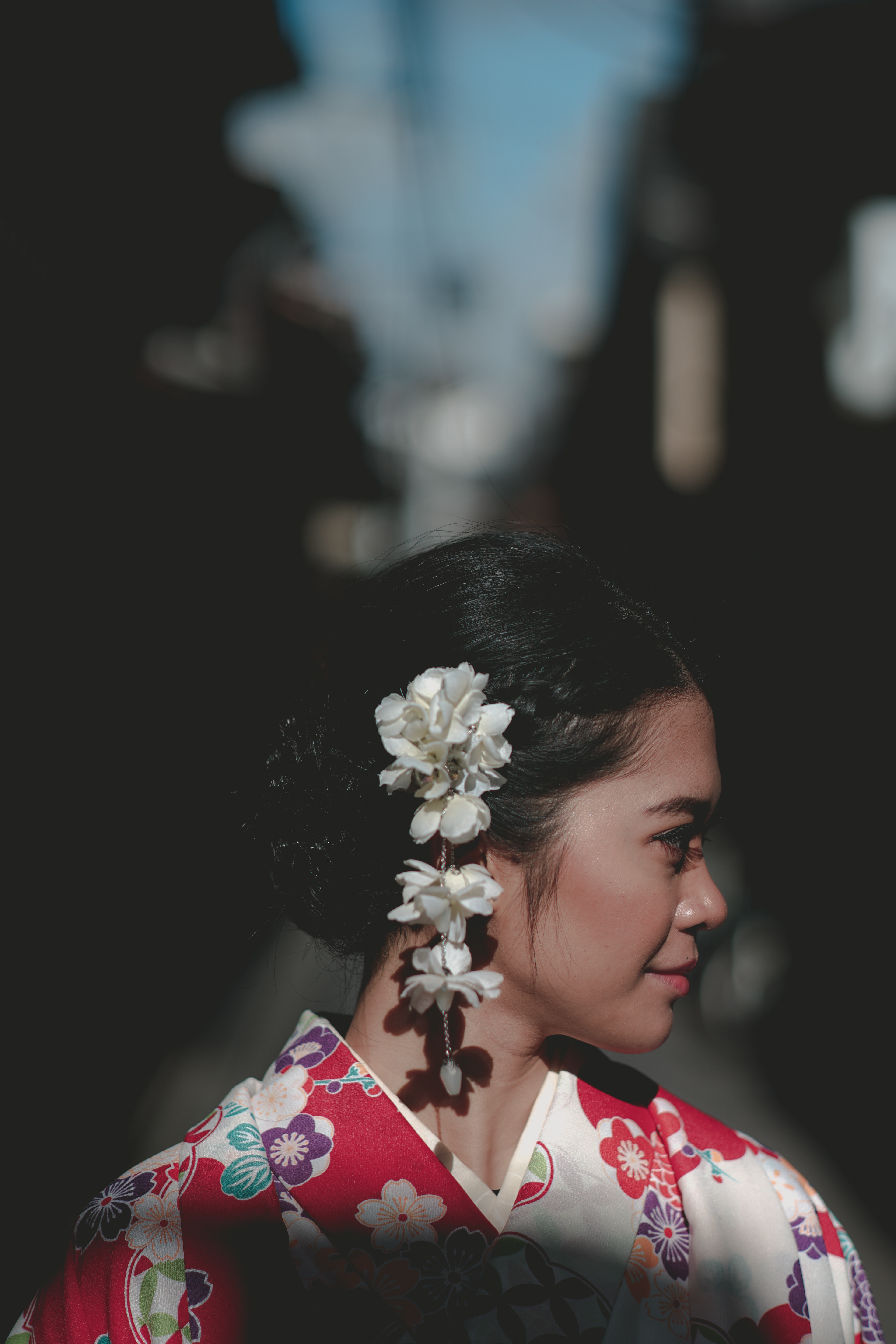Reza Fauzi Laras Dhanis
