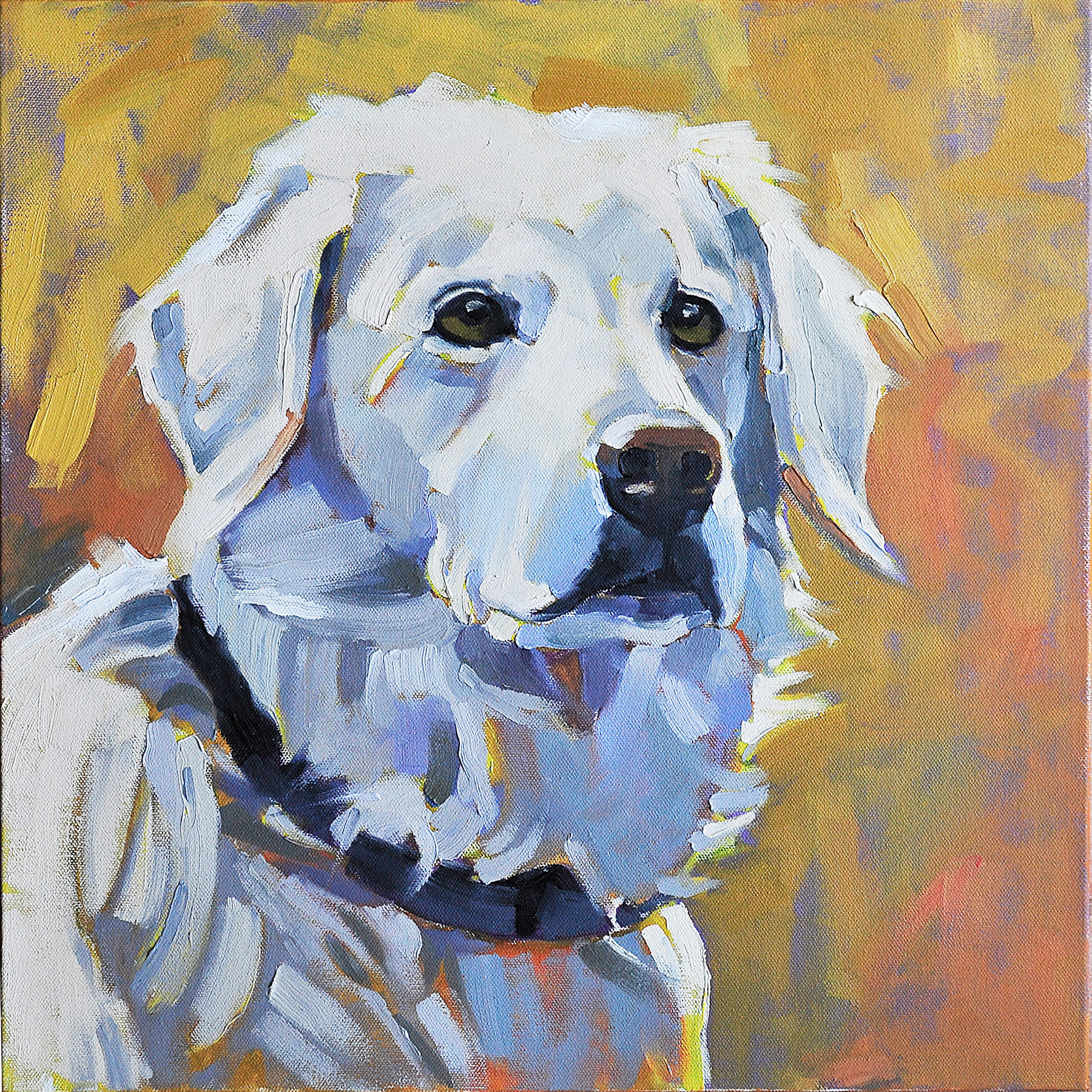 COOPER