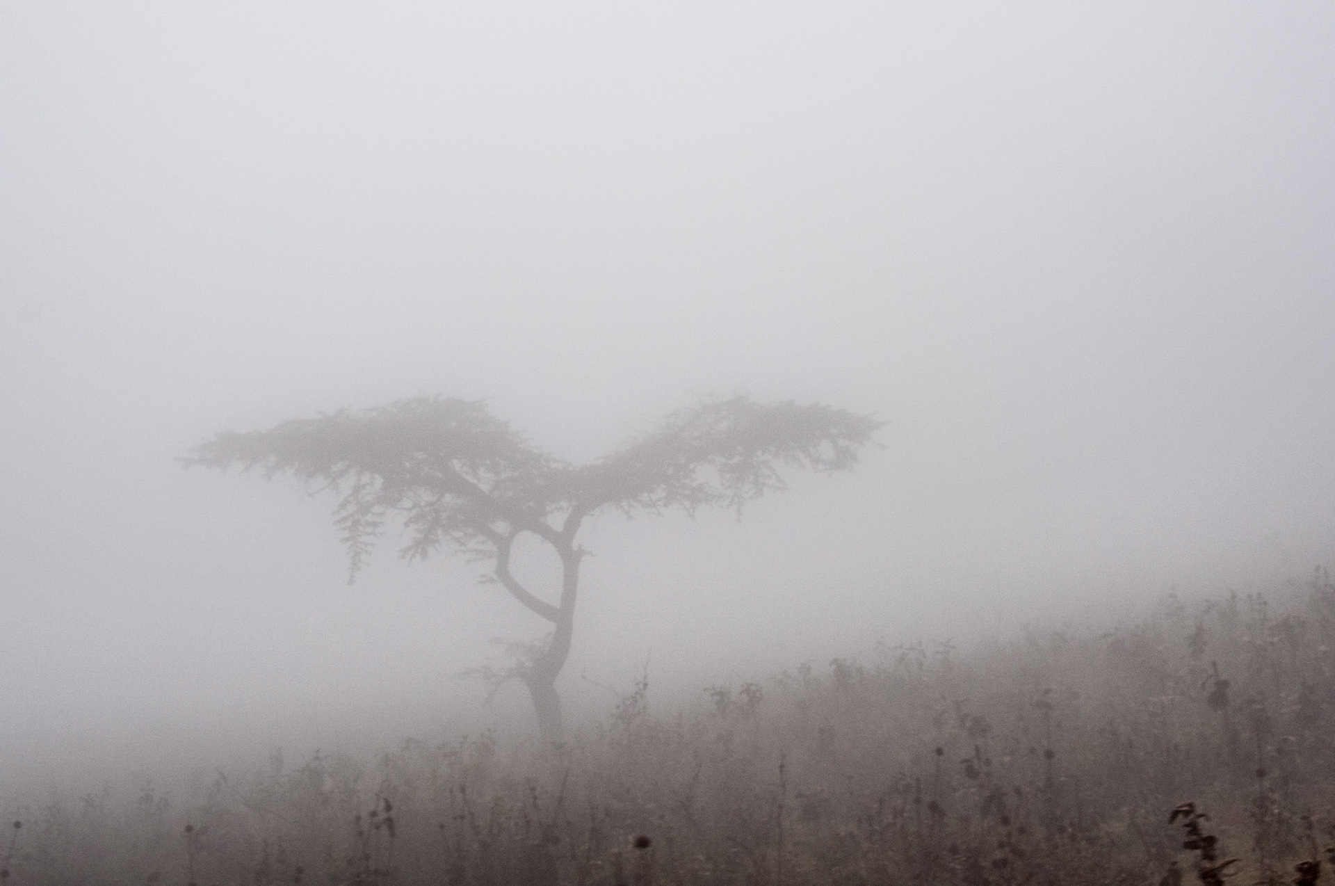 Ngorongoro, Tanzania