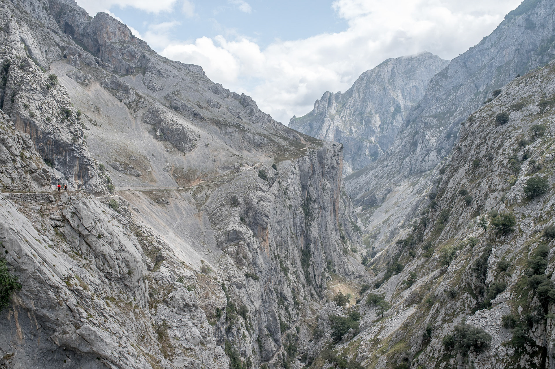 Picos de Europa