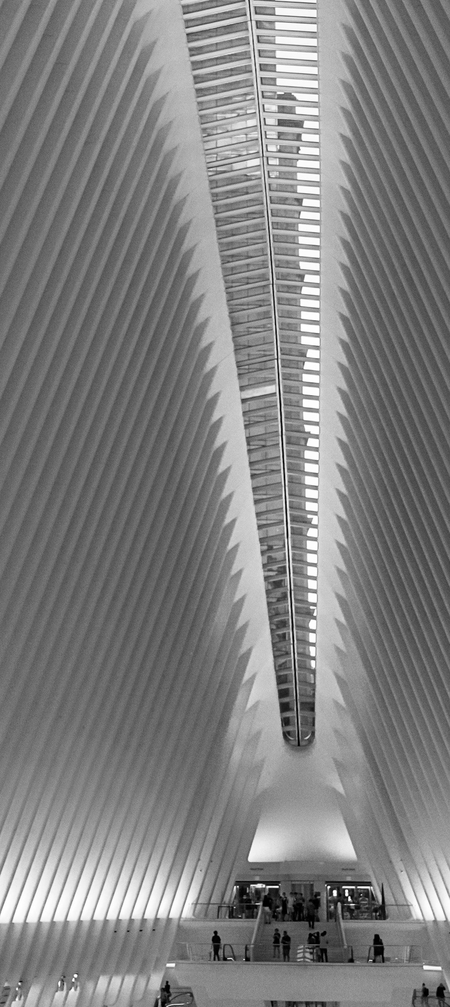Oculus