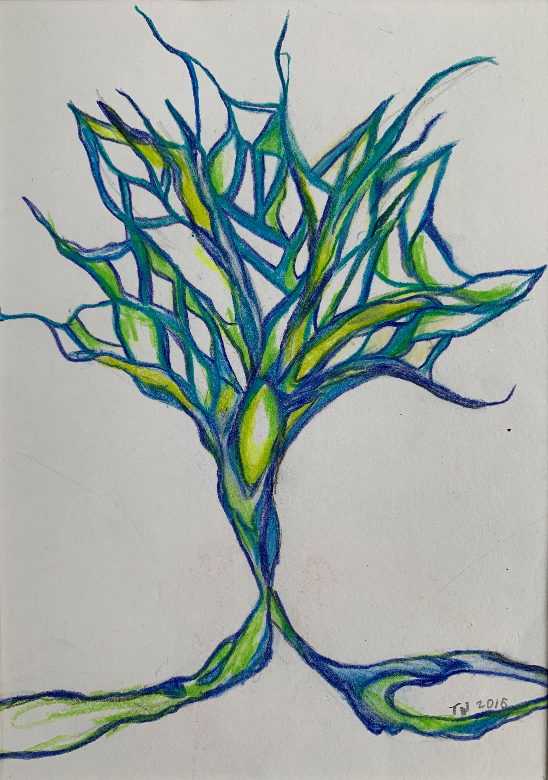 "Growth"