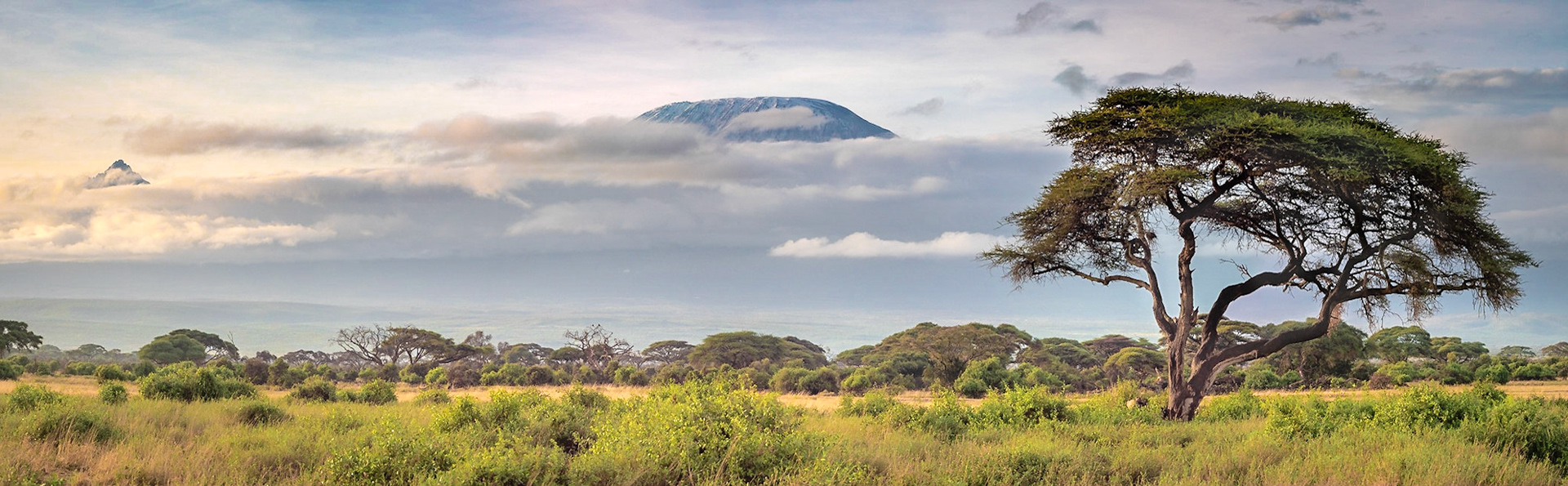 Morgens am Kilimandscharo