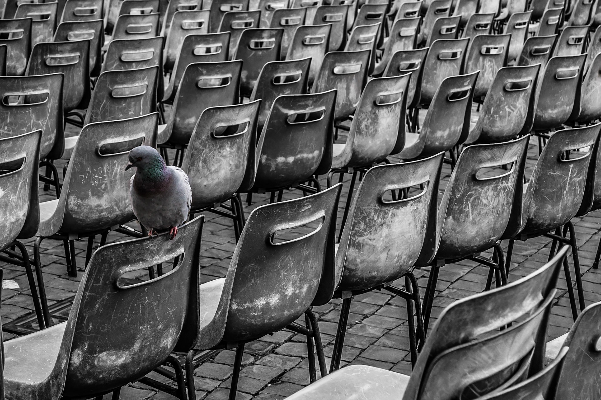 Vatikan vor dem Petersdom