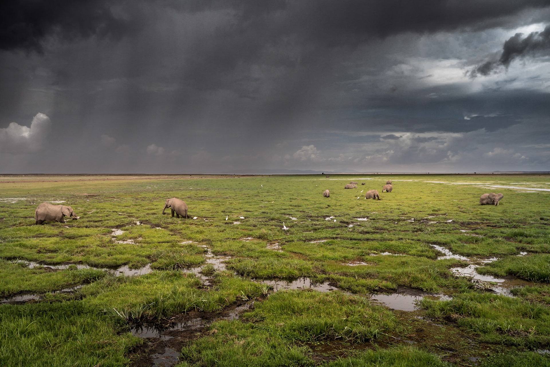 Unwetter über dem Amboseli