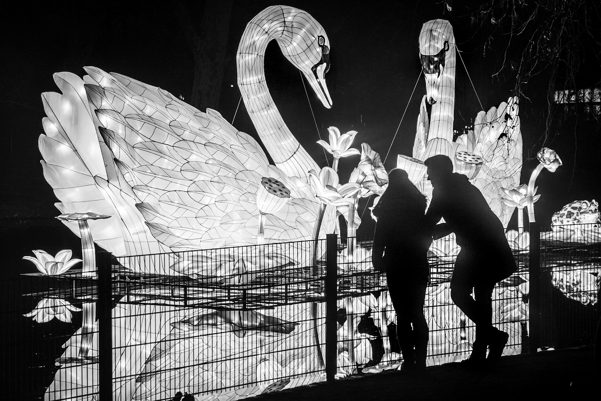 Zoo Köln - Chinesisches Lichtfest