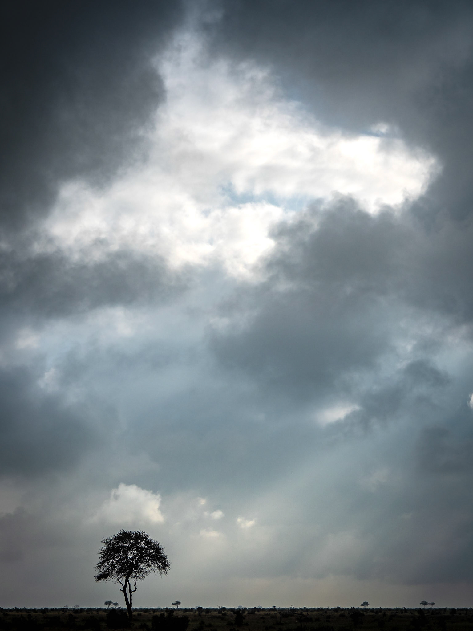 Aufziehender Regen im Tsavo Ost, Kenia