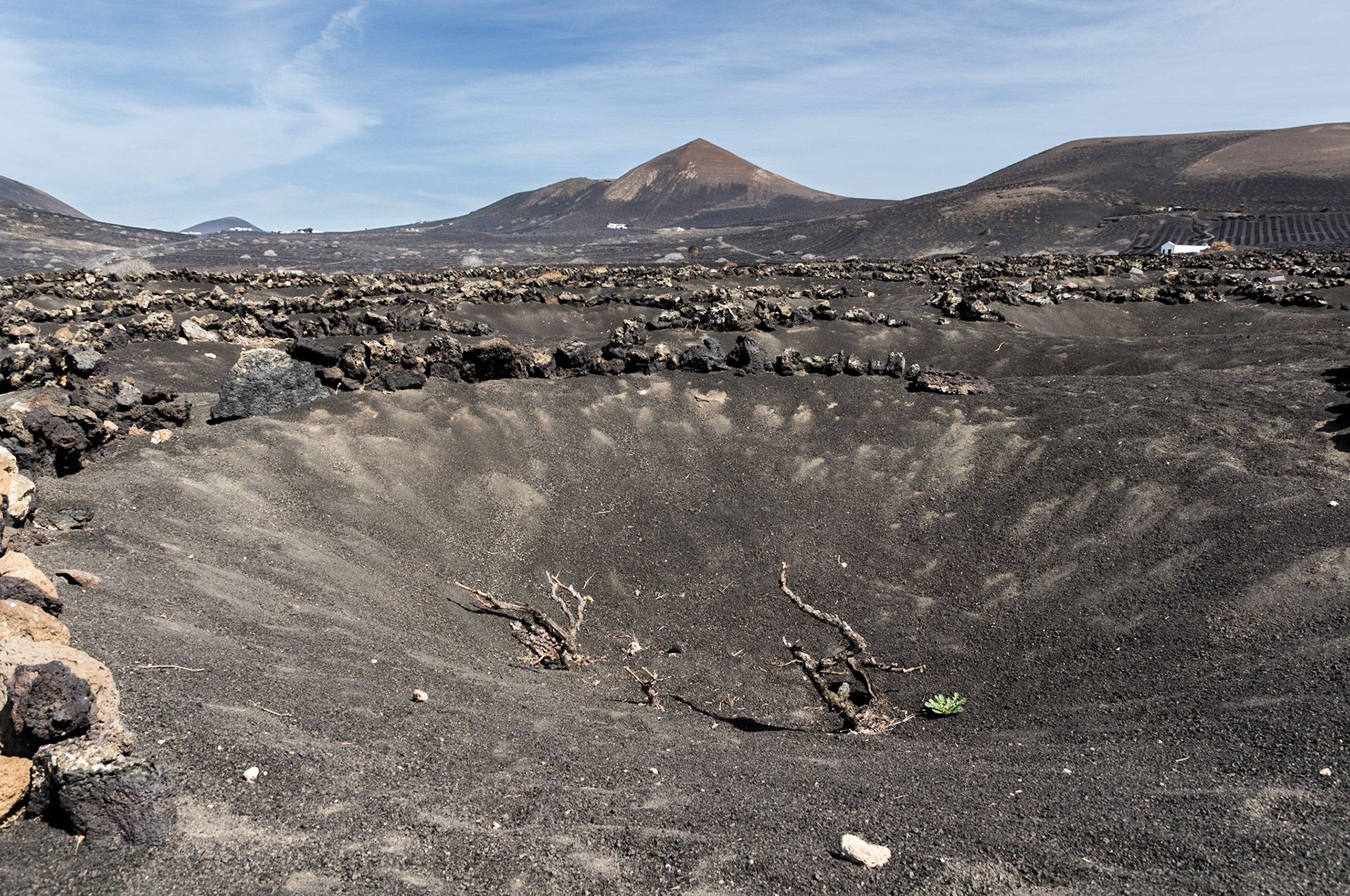 Blick über La Geria (Lanzarote)