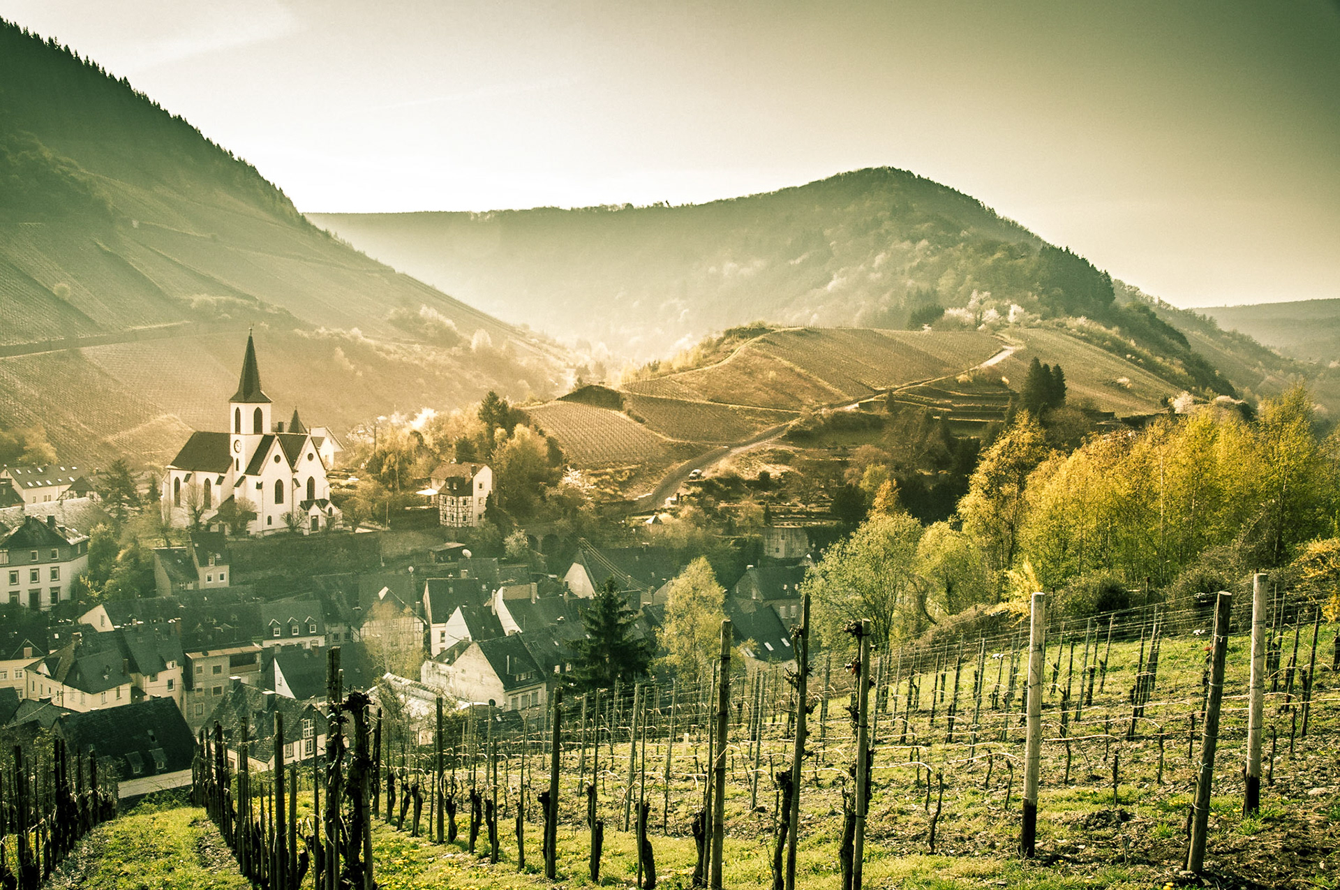 Blick ins Tal des Kautenbaches in Traben-Trabach an der Mosel