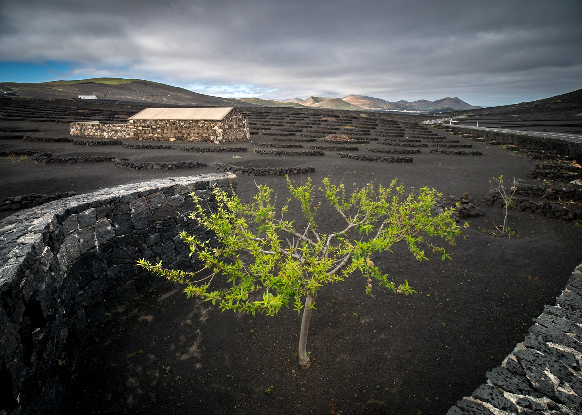 La Geria mit den Bergen des Timanfaya im Hintergrund