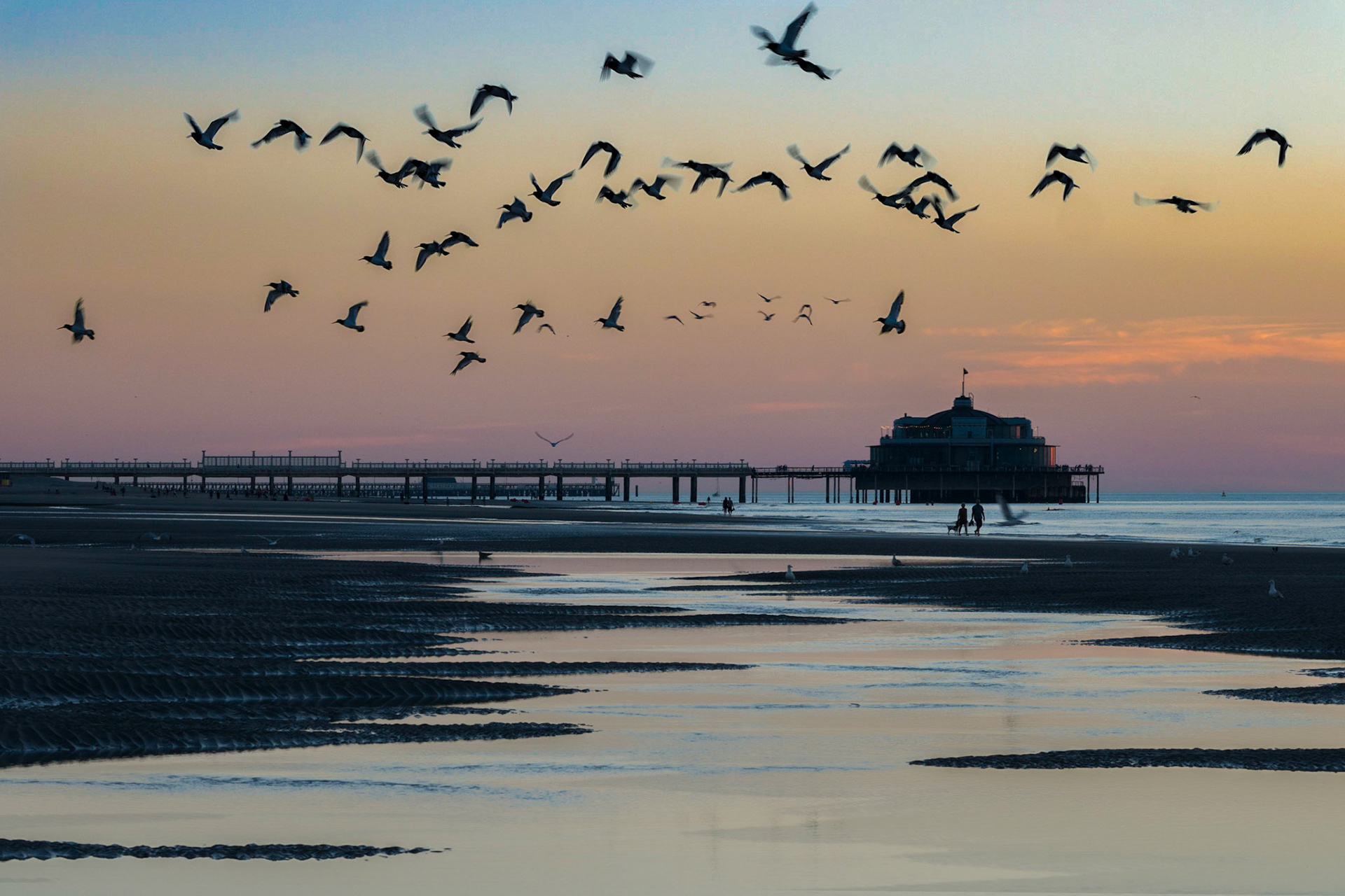 Sonnenuntergang am Strand von Blankenberge (Belgien)