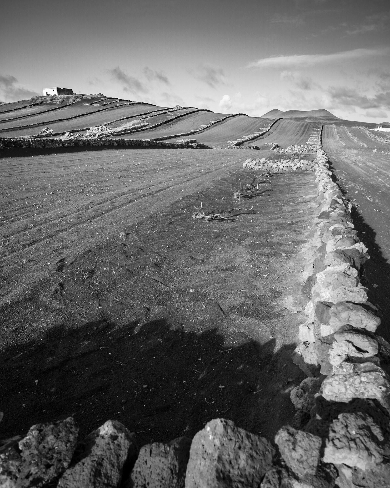 Landwirtschaft bei San Bartolomé