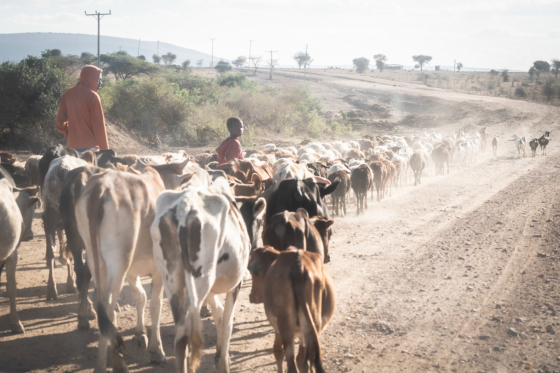 Rush Hour im kenianischen Hinterland