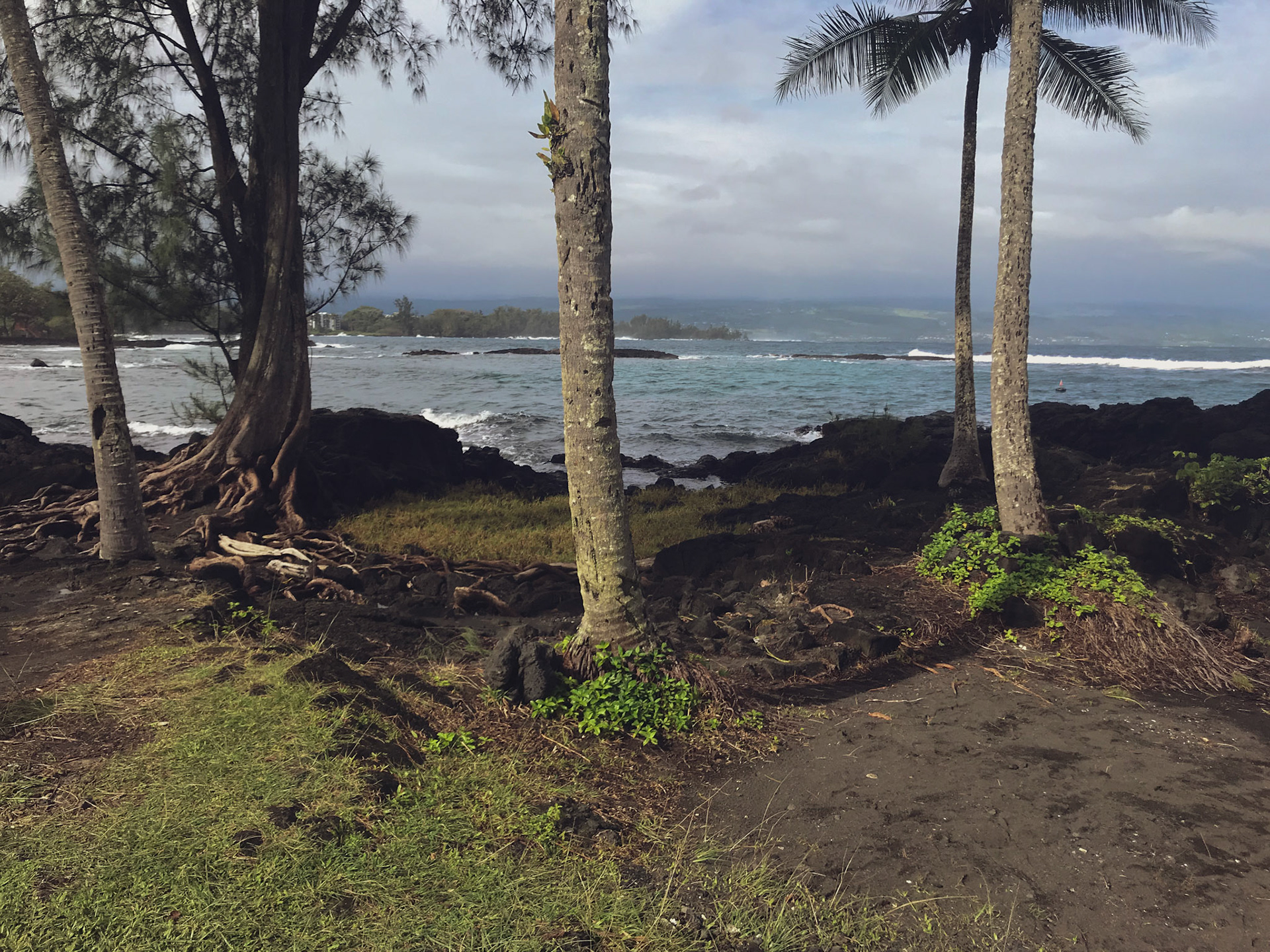 Richardson Ocean Park, Hilo, HI. Jan 14