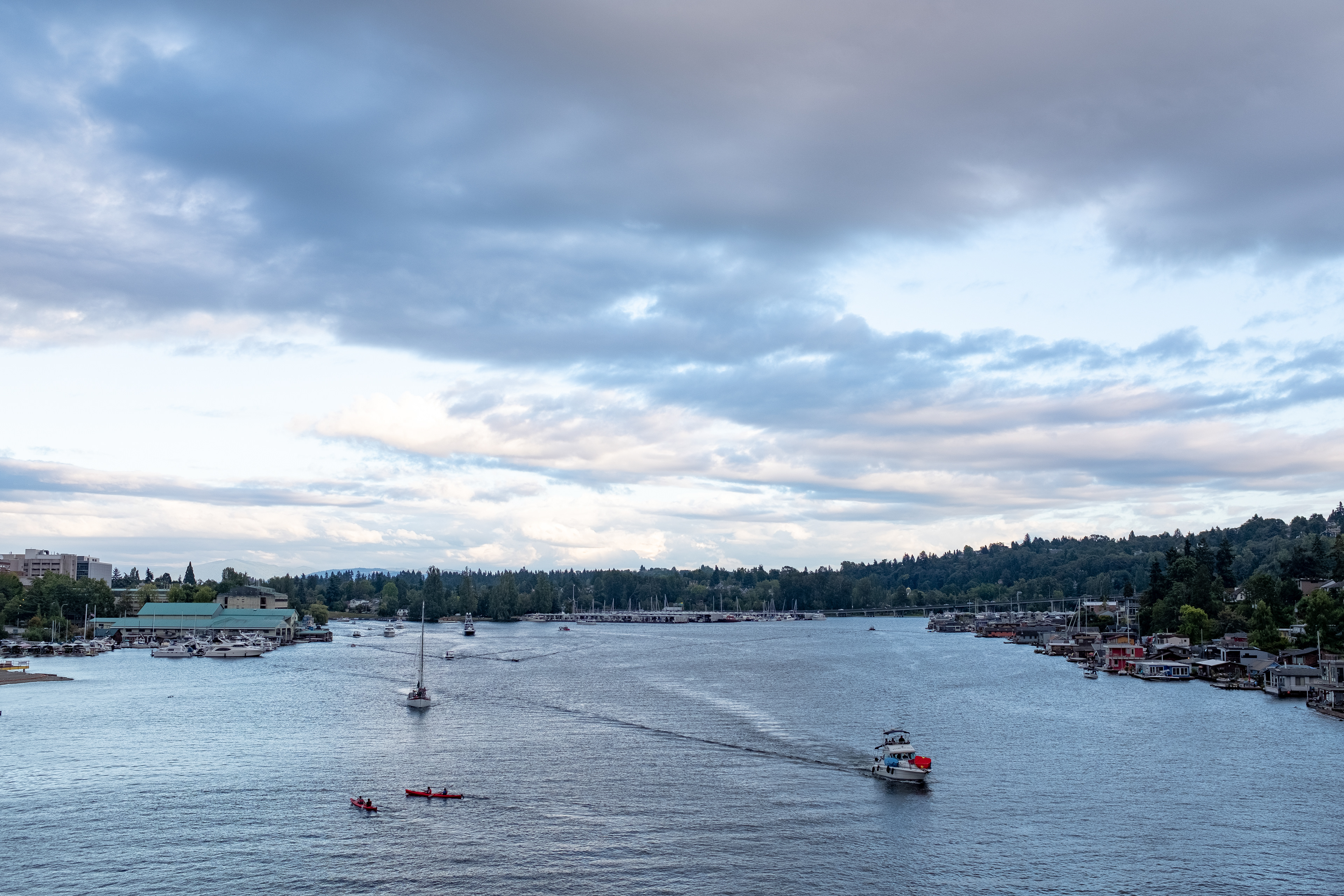 Joe Zaki Seattle / Friday Harbor