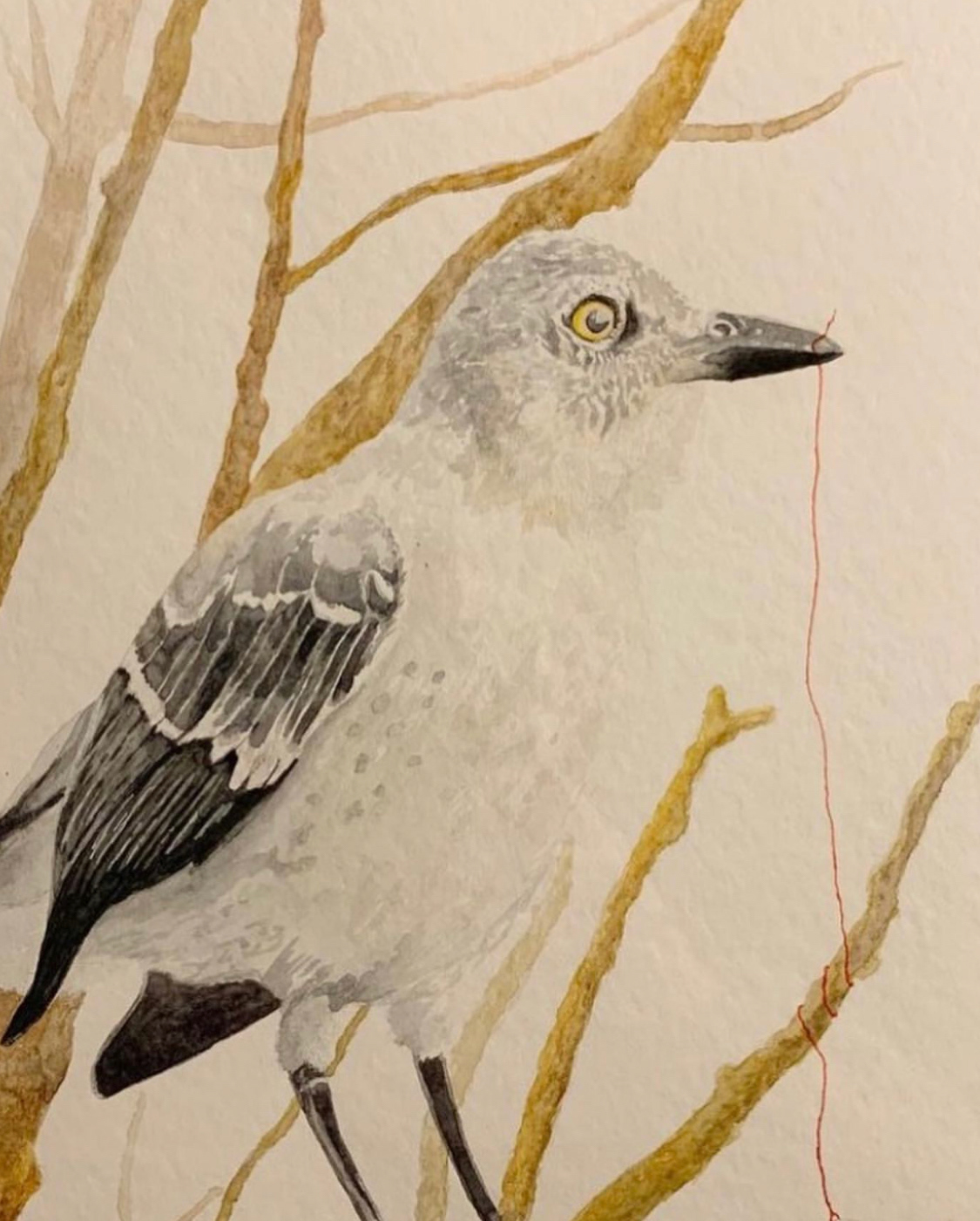 "The Mockingbird" 11 x 14 inches, Watercolor