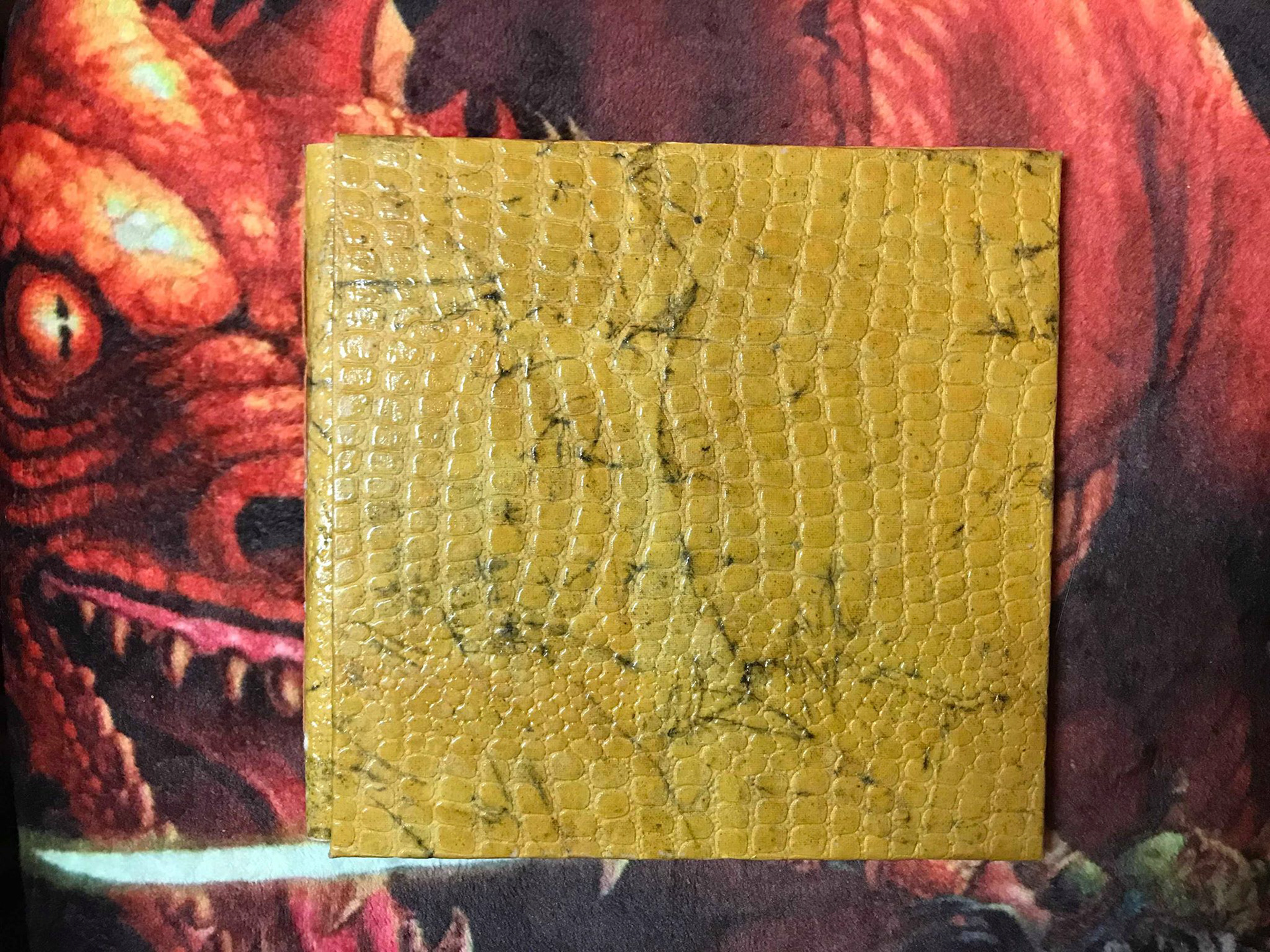 Book's main texture - hard cover scaley paper
