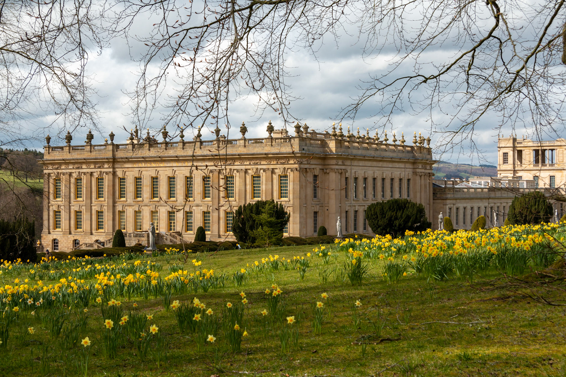 Chatsworth and daffodils