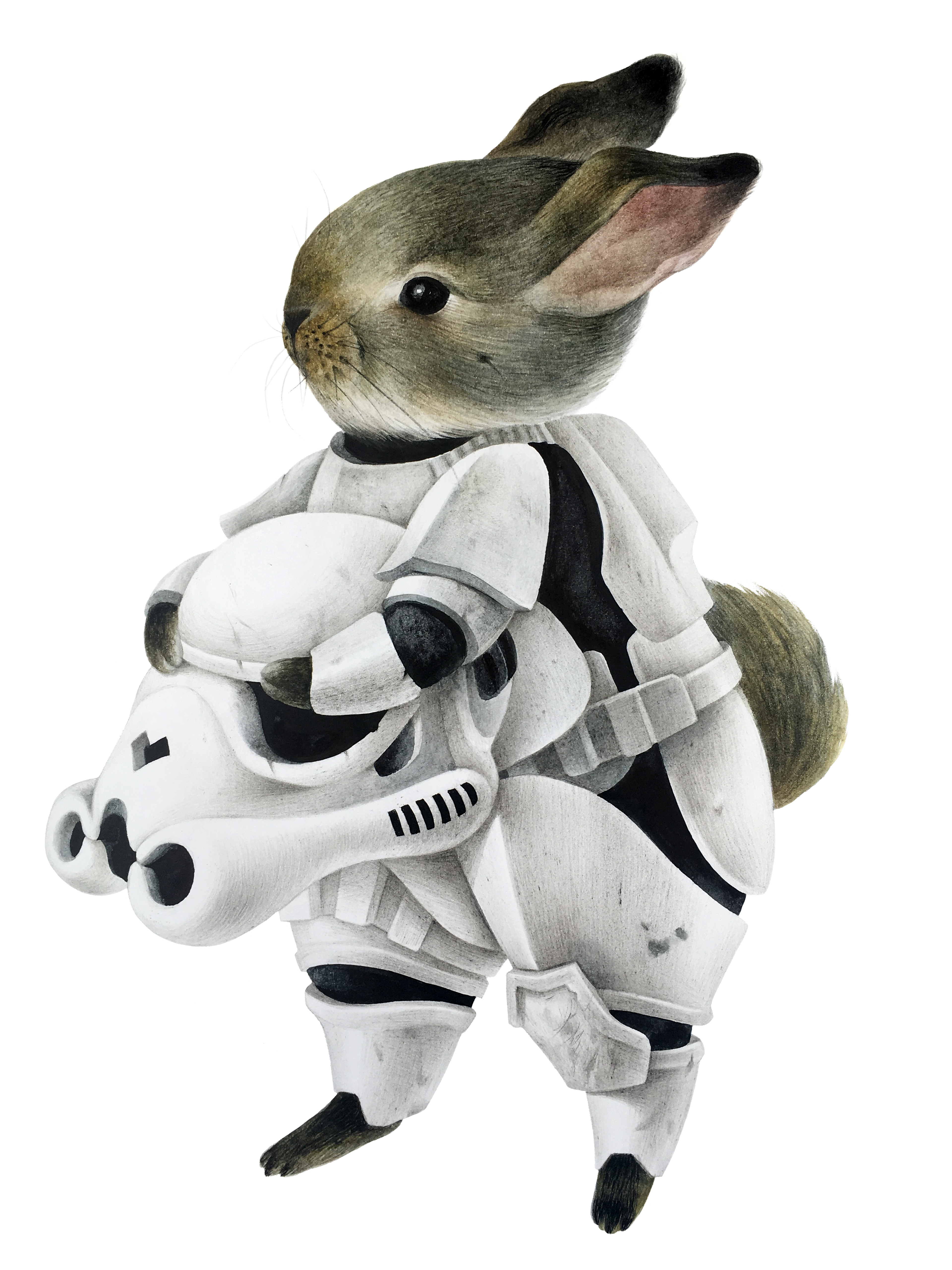 Кролики Звездные войны