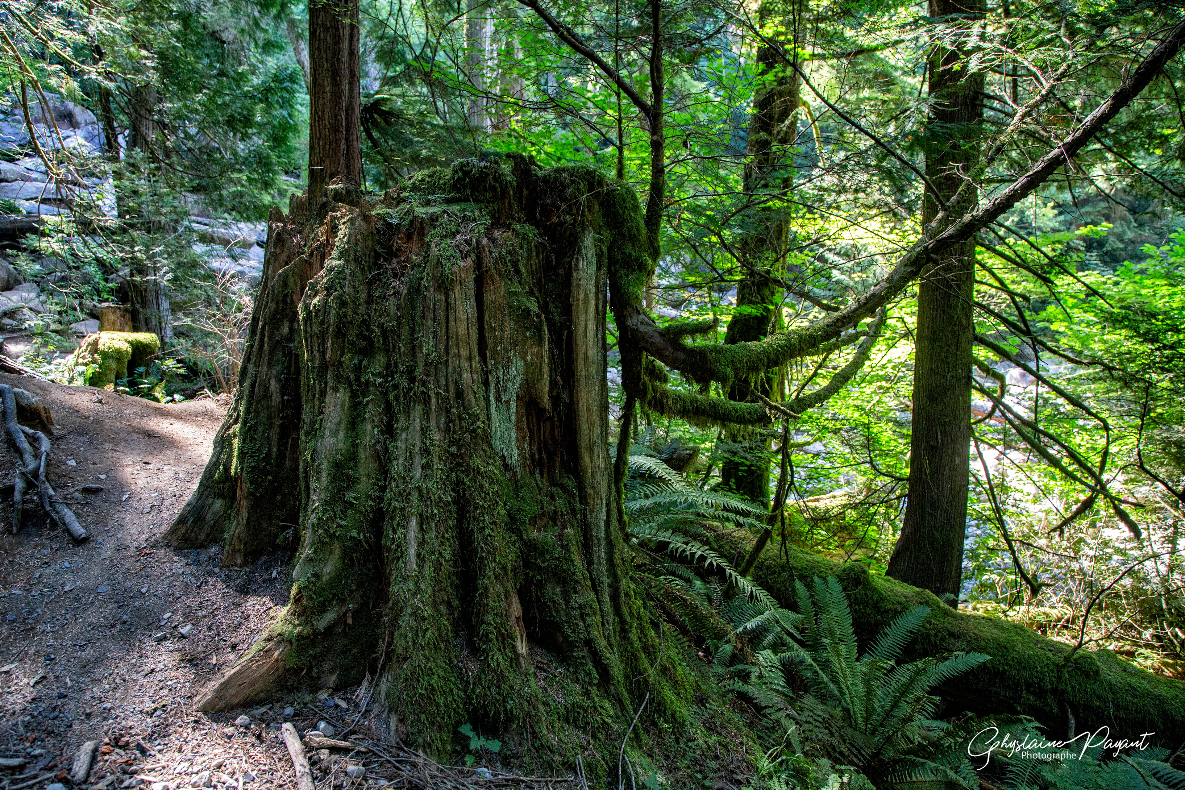 Shannon Falls Provincial Park