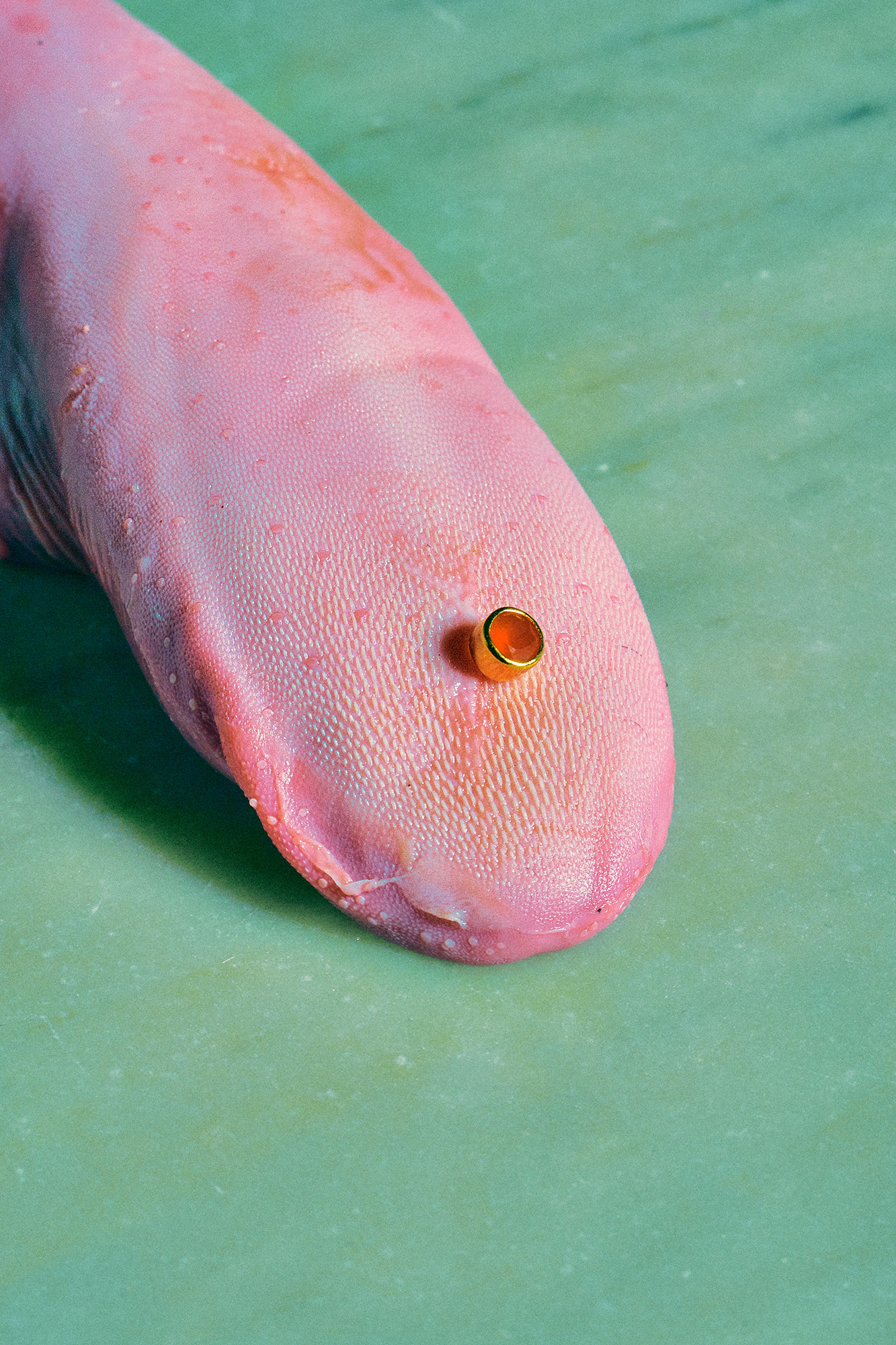 Cunnilingus