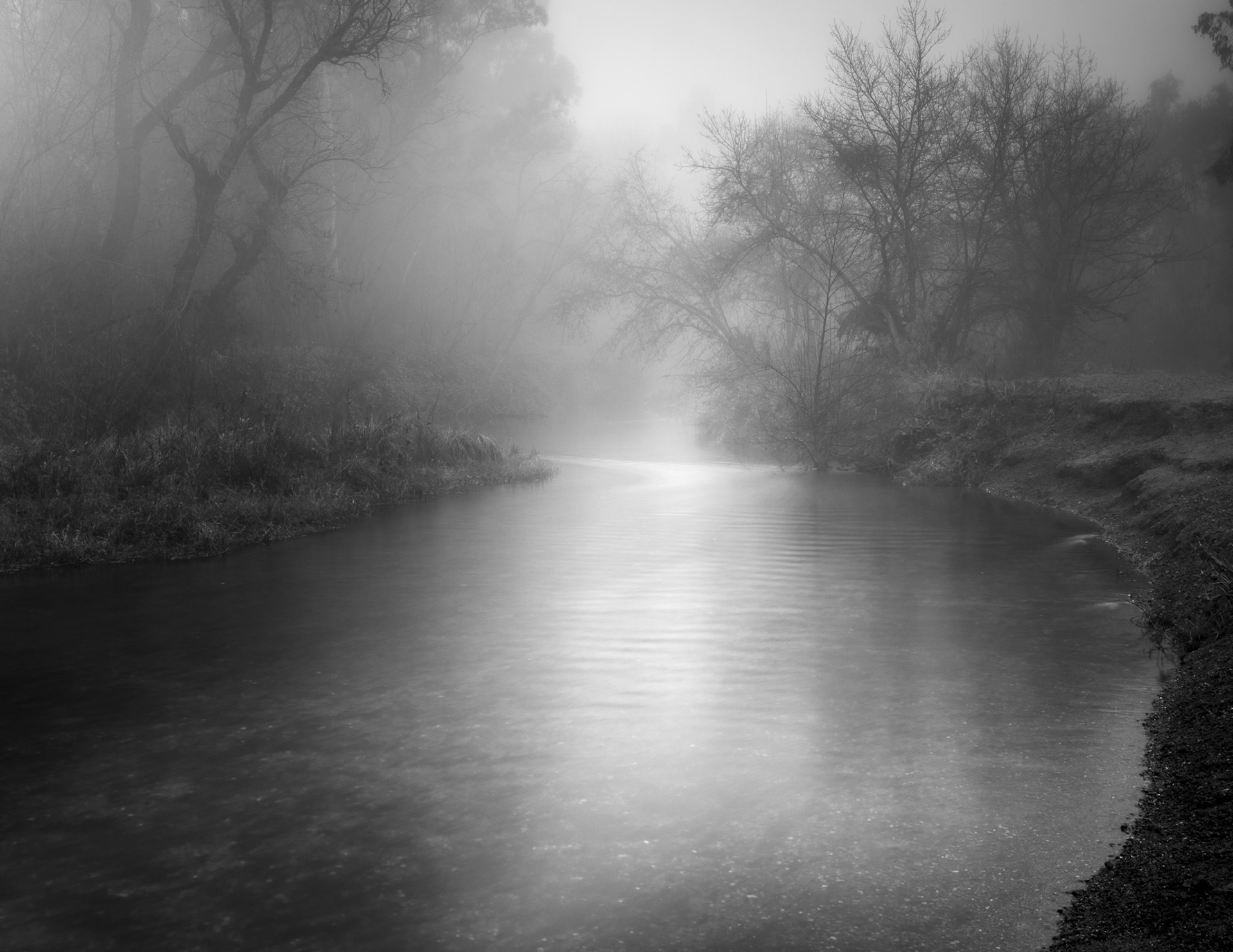 Putah Creek #3, 2020