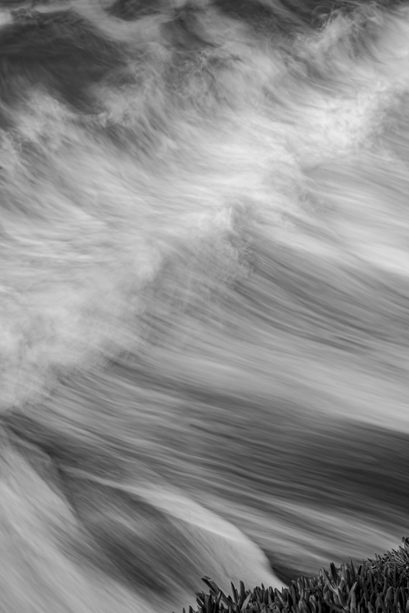 Up Surf, 2021