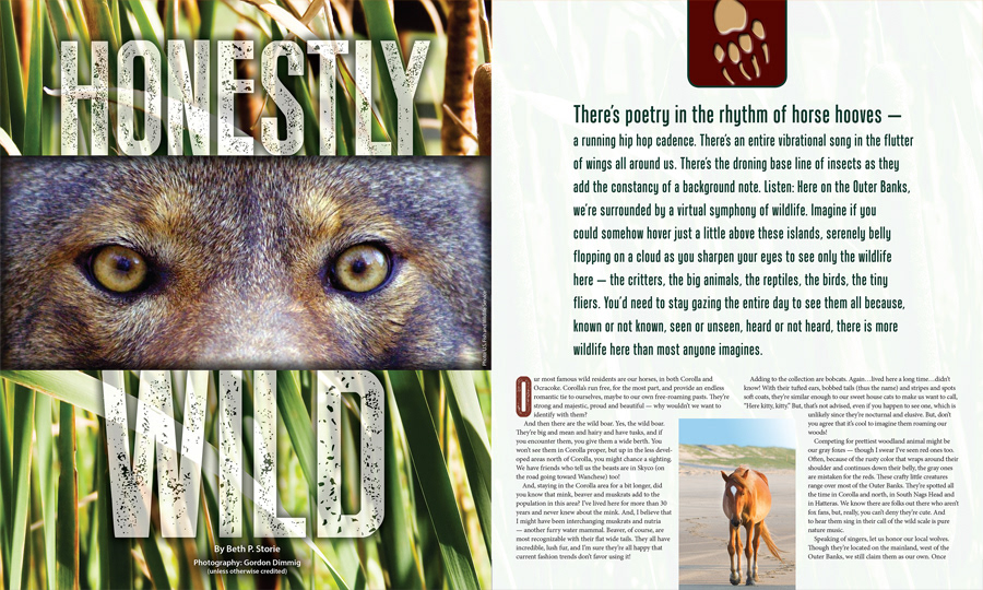 Magazine page design: Honestly Wild