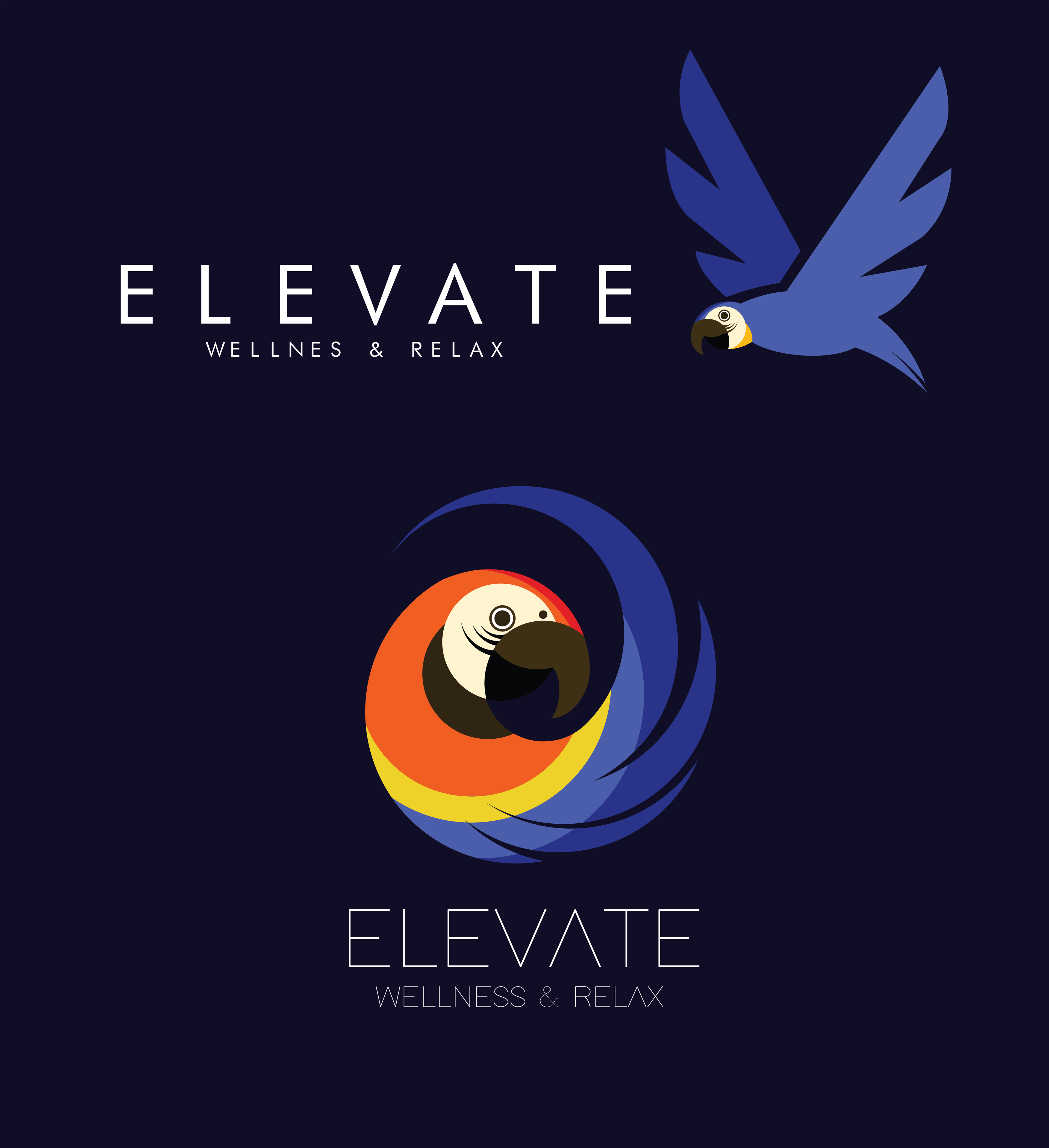 Motion Design 3d Art Illustration Elevate Wellness Relax Logo Futuro Primitivo
